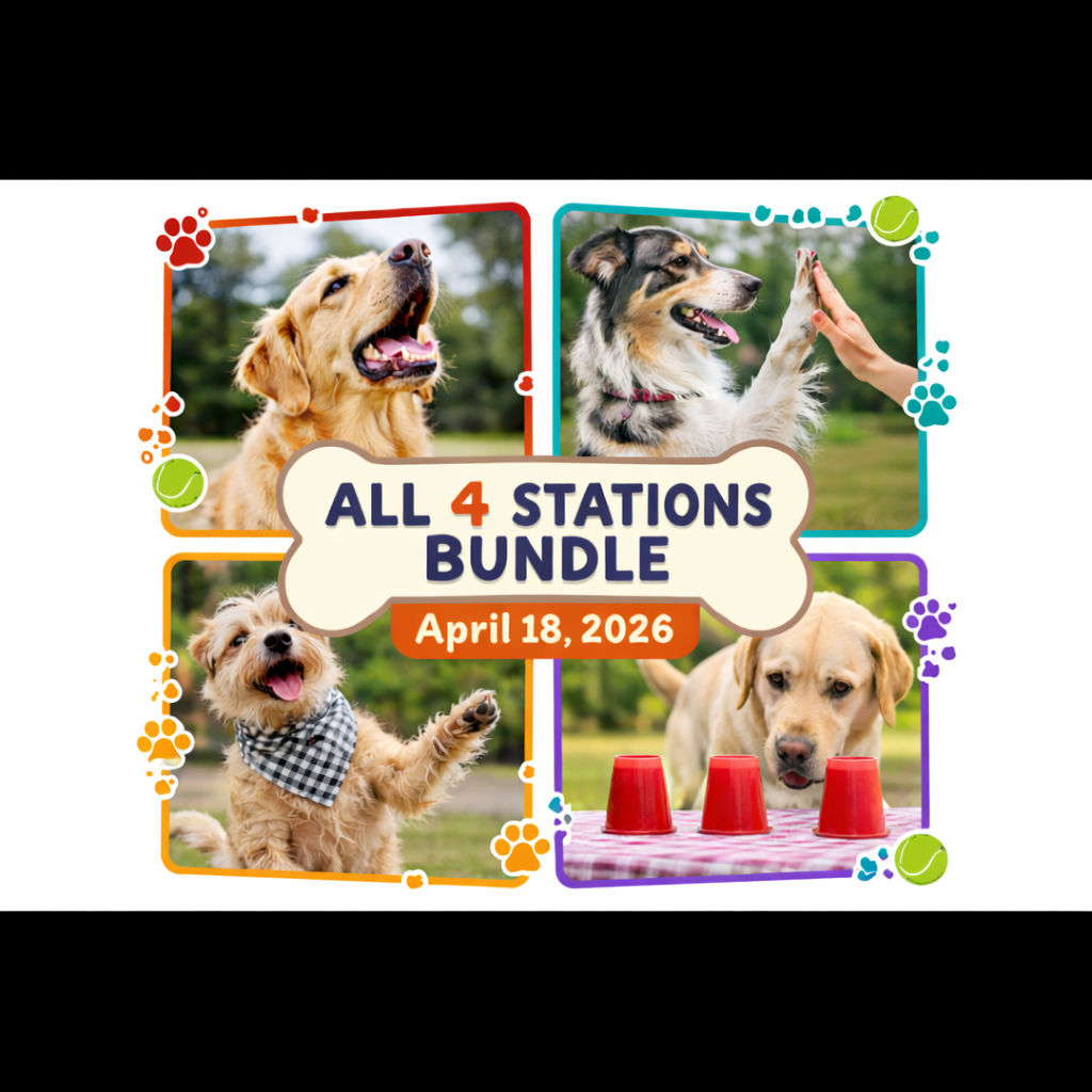 All 4 Stations Bundle