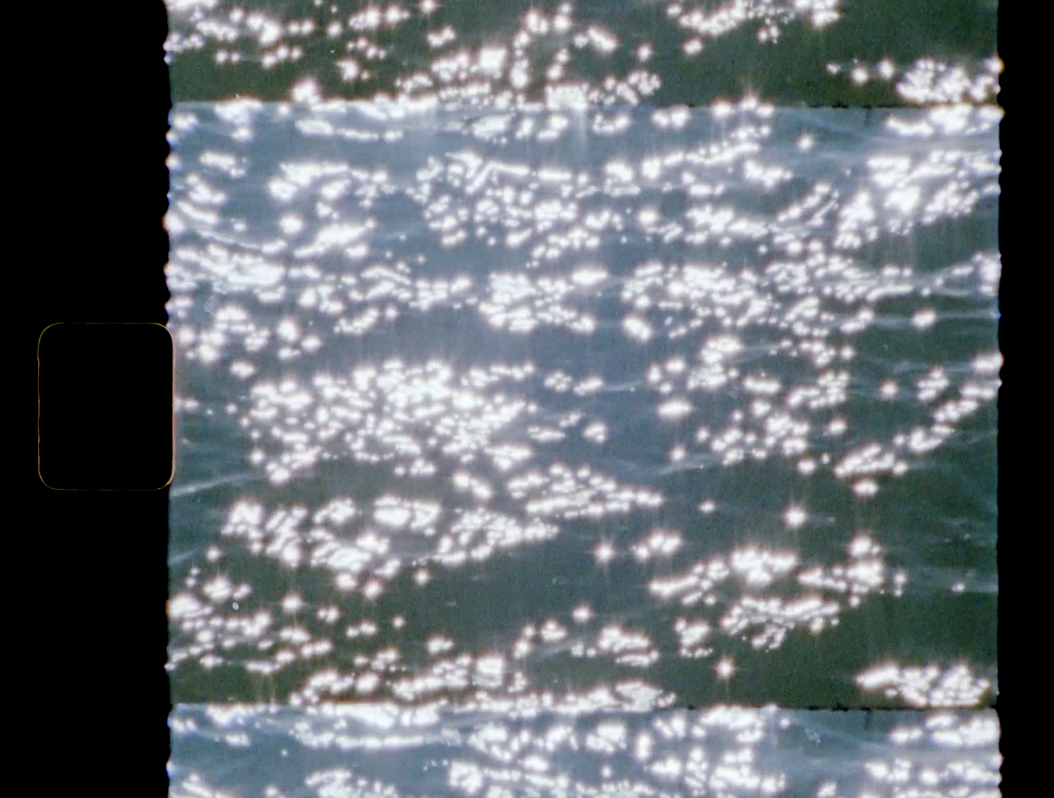Screen Shot 2024-10-01 at 3.11.57 PM.png