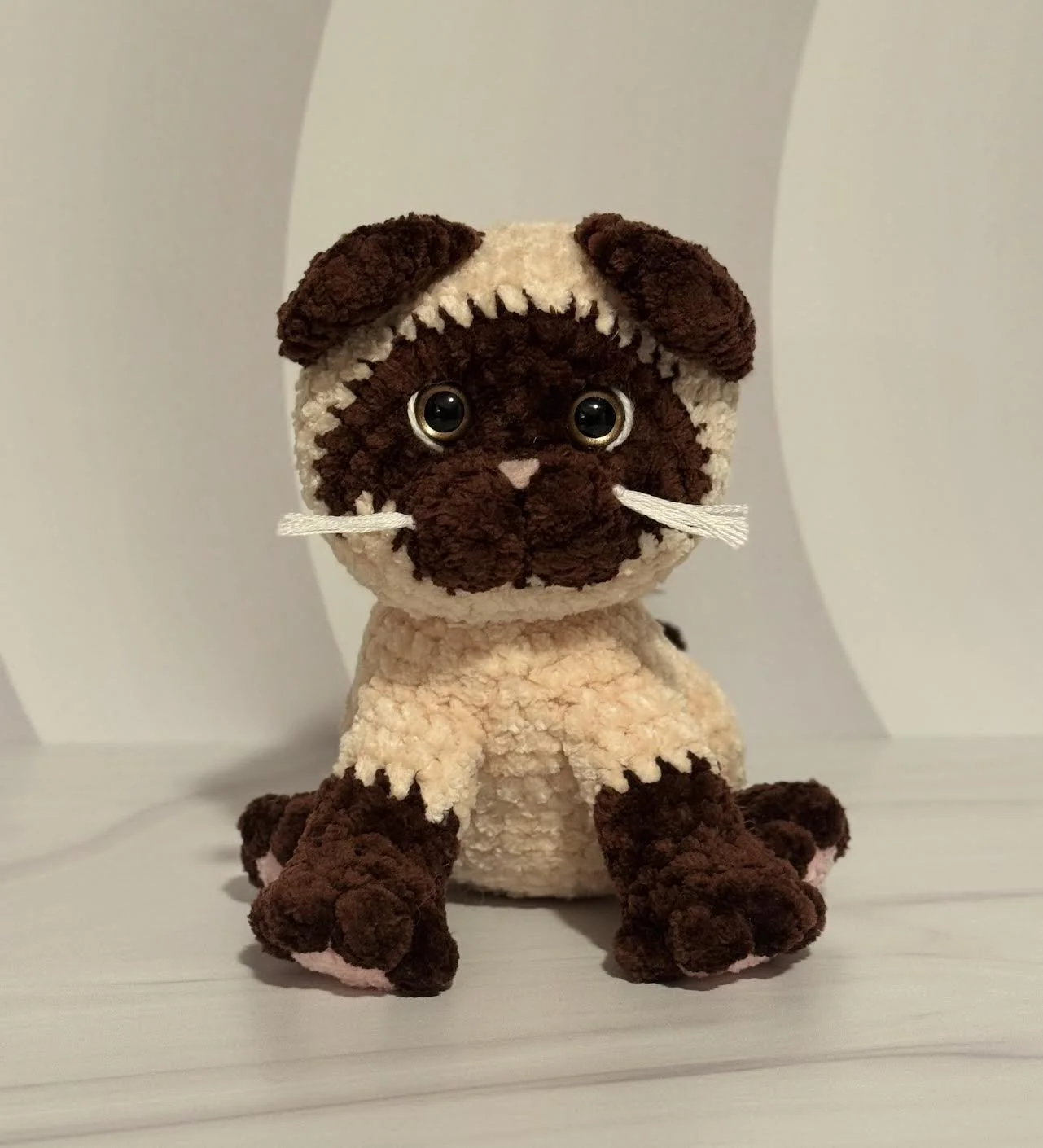 Kimberly Kitten (Siamese)