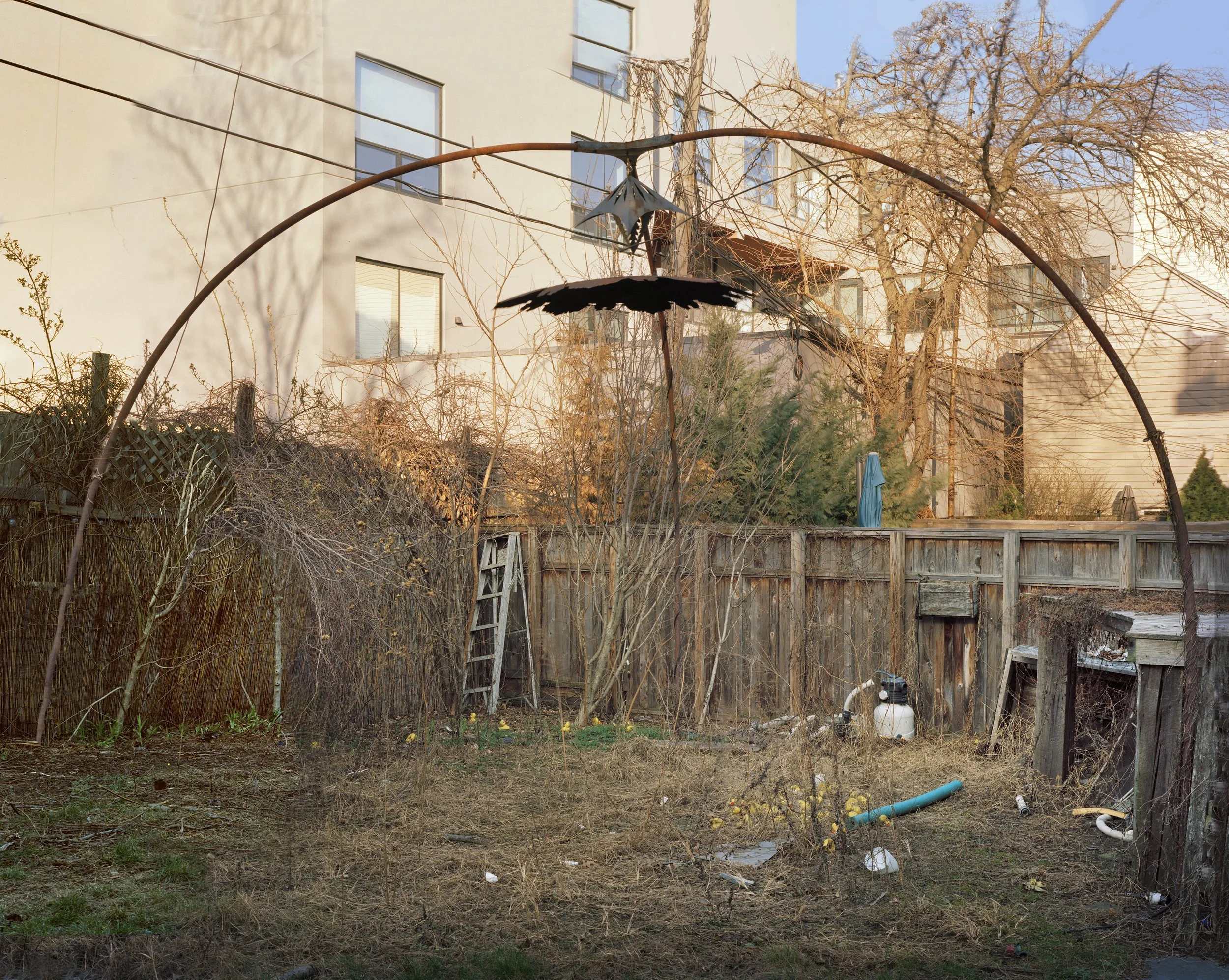 A backyard with a wooden fence, leafless trees, dry grass, and scattered debris, including a ladder, a hose, and trash, with a neighboring building in the background.