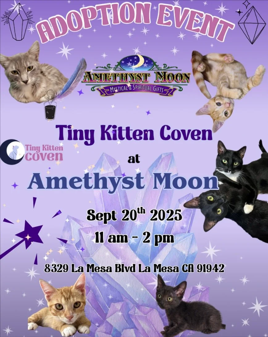 Looking for a little magic in your life? ✨ 

Tiny Kitten Coven will be at @amethystmoon_lamesa this Saturday, Sept 20th from 11AM&ndash;2PM with adorable kittens ready to meet you.

Come say hi, cuddle some floofs, and maybe meet your forever friend.