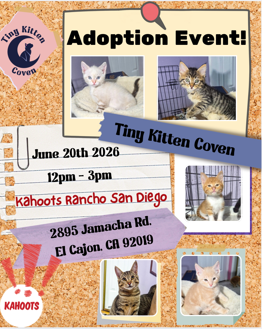 Kahoots Rancho San Diego - Adoption Event