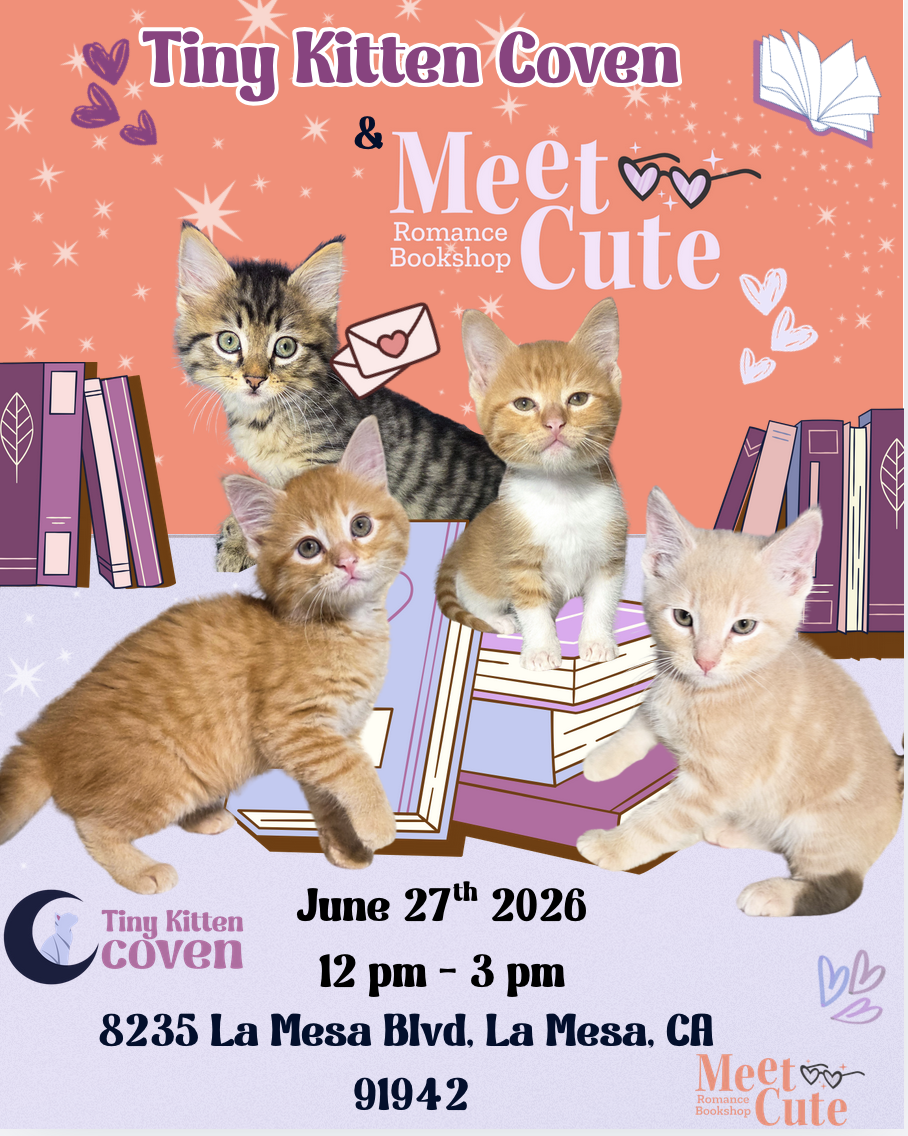 Meet Cute Bookstore - Adoption Event