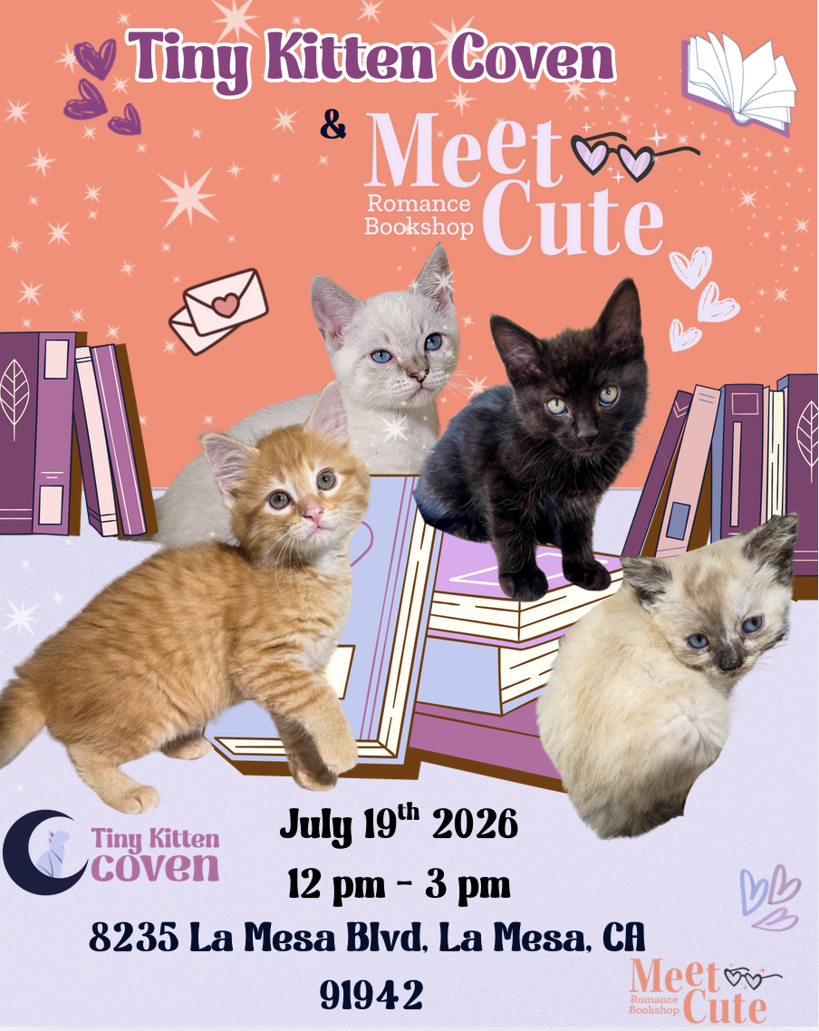 Meet Cute Bookstore - Adoption Event 
