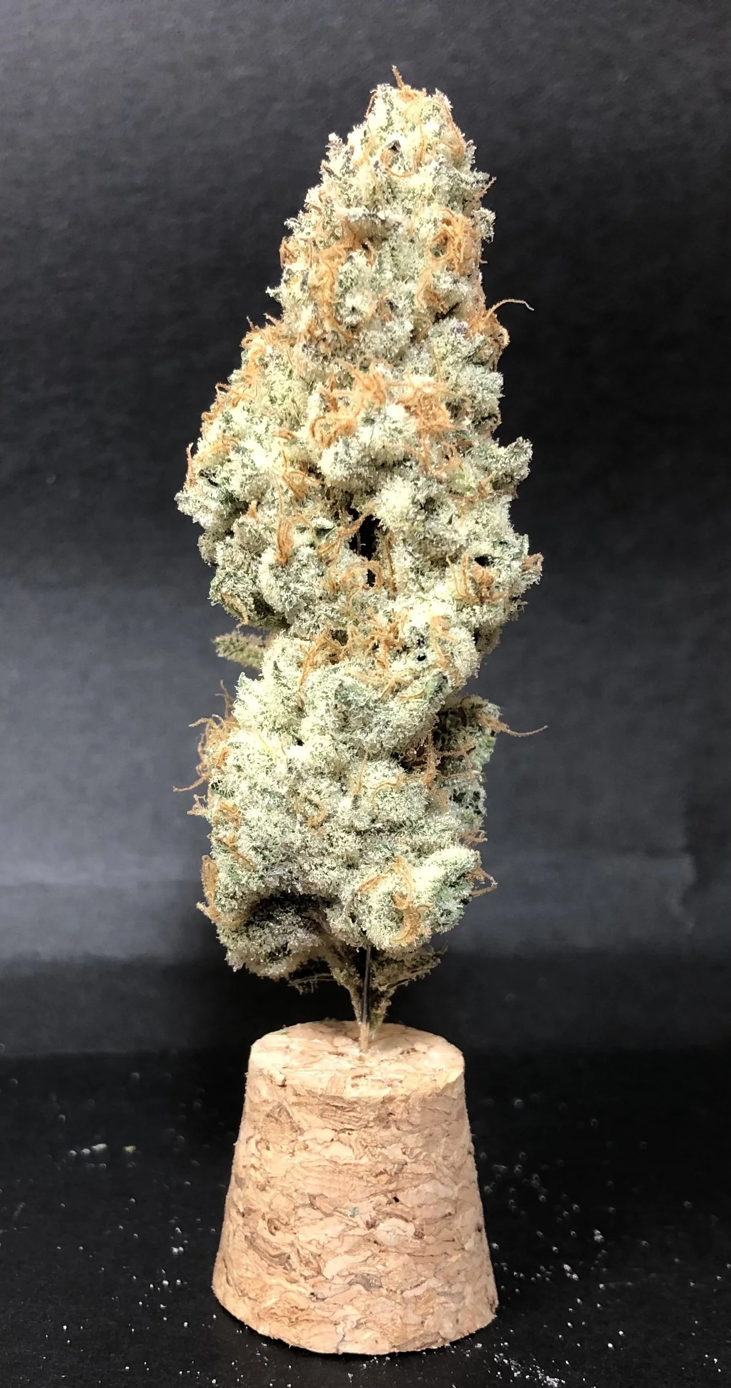 Chimax bud