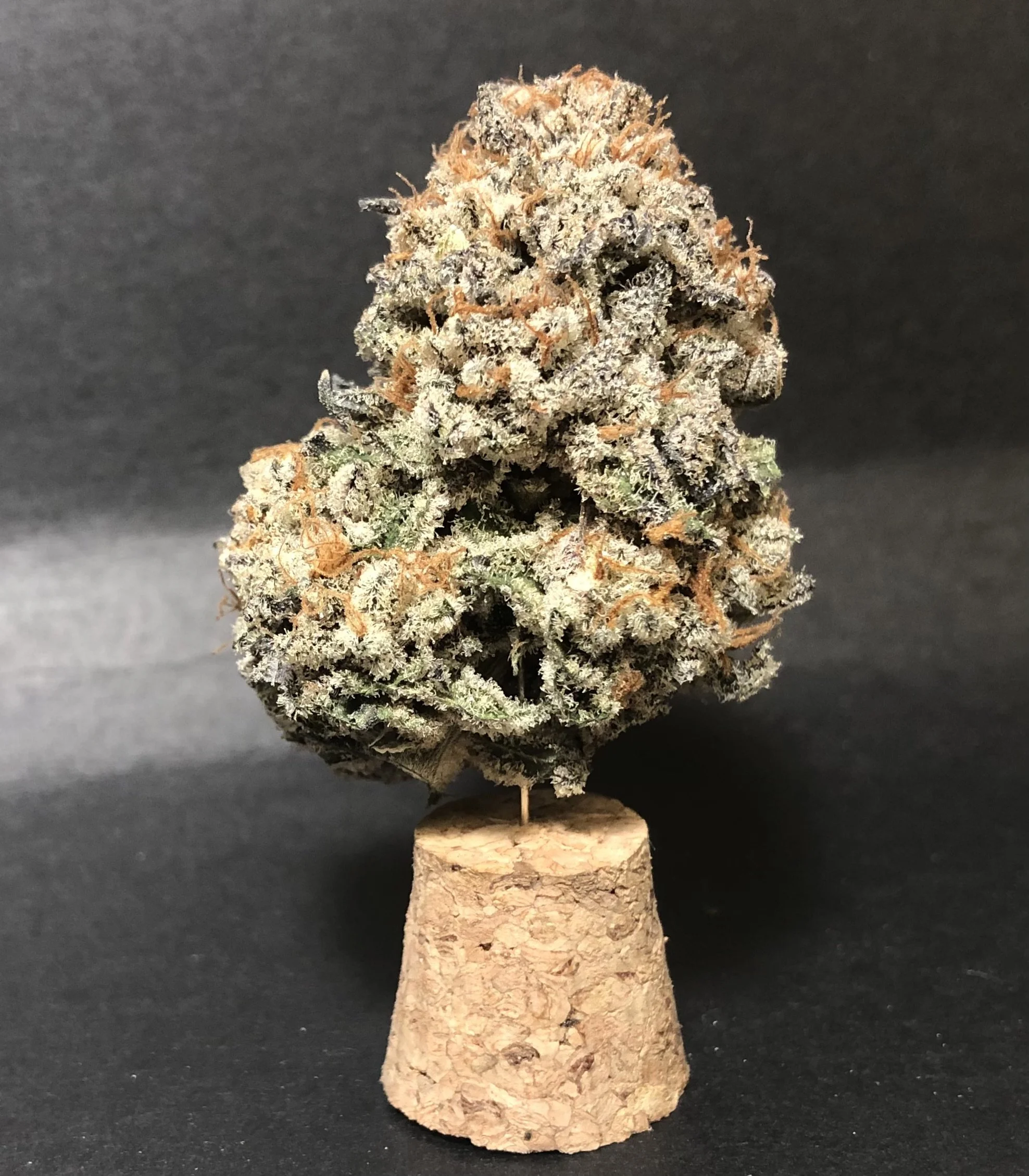 Trufflaloha