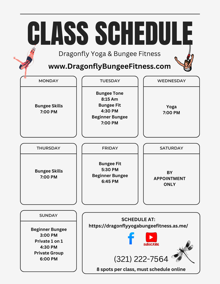 Dragonfly Yoga & Bungee Fitness