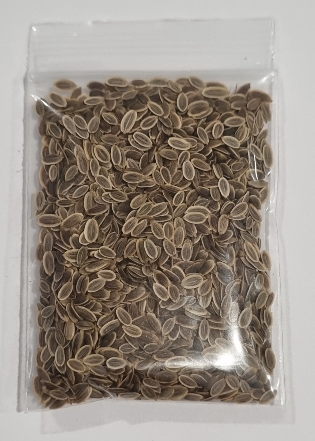 Dill.jpg