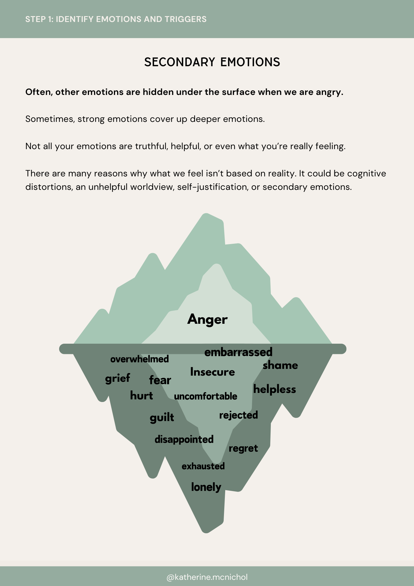 CB EDIT Emotional Regulation Guide (1).png