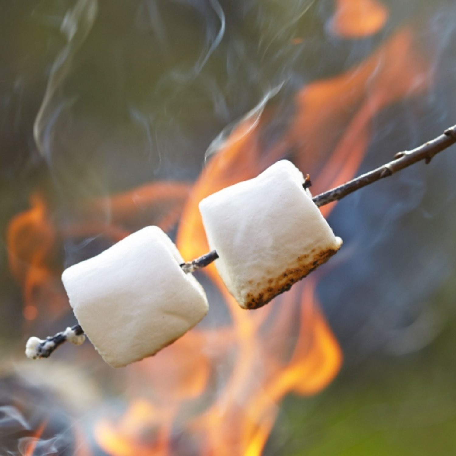 Fire Roasted Marsmallow.jpg