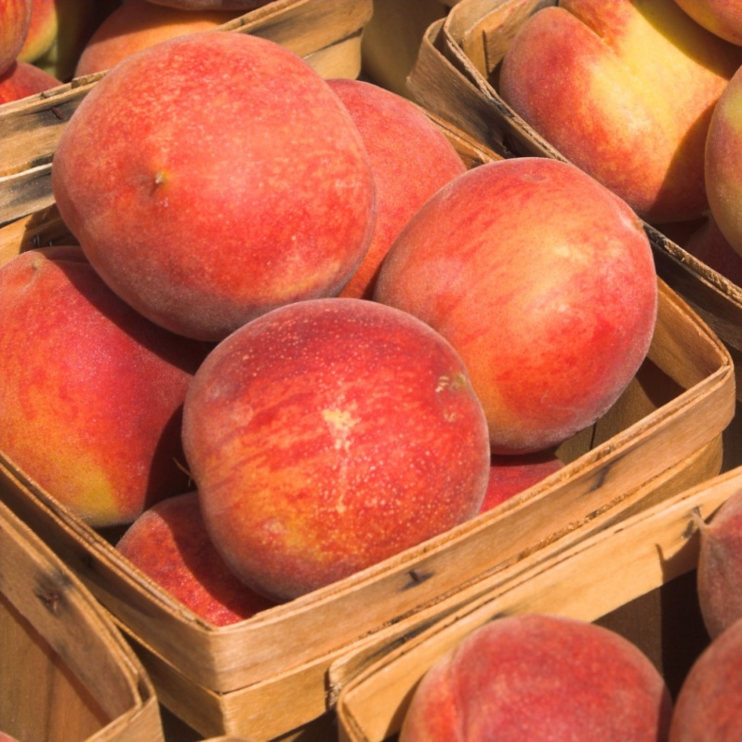 Georgia Peach.jpg
