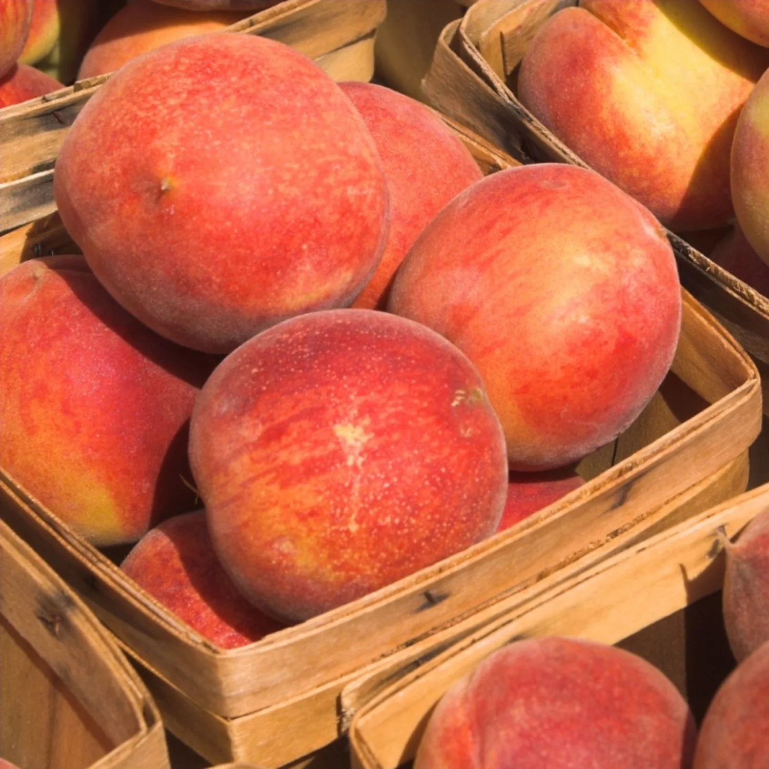 Georgia Peach.jpg