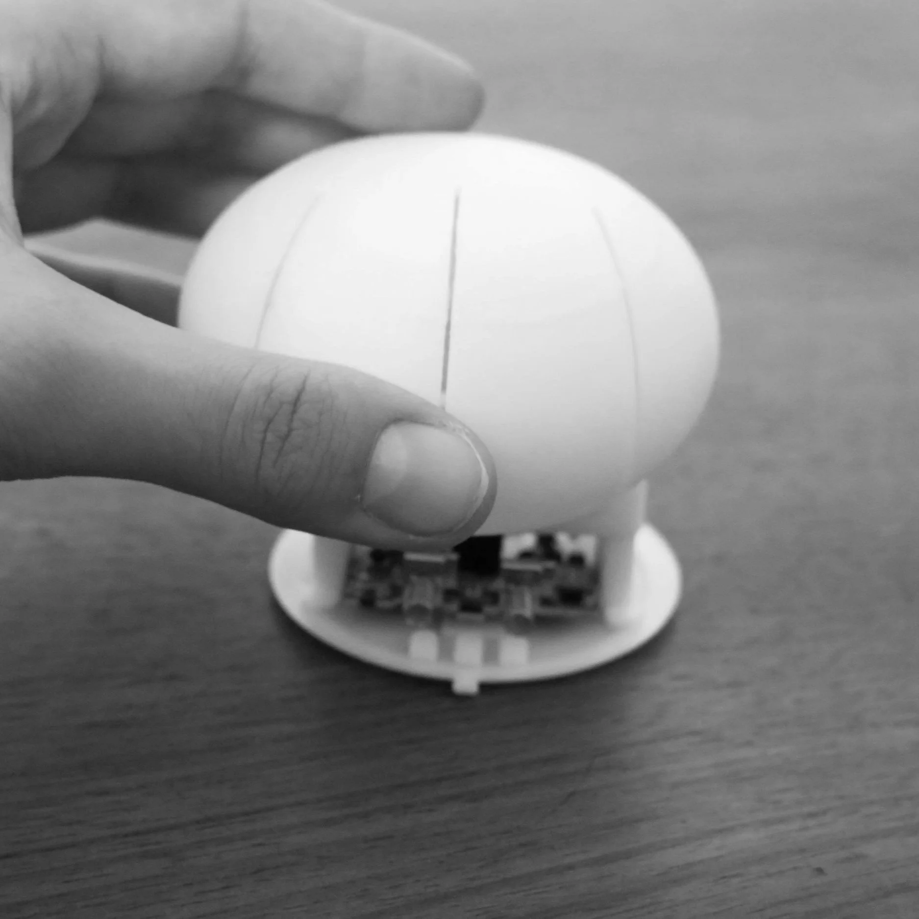 Eggmouse mockup edited (15 of 15).jpg