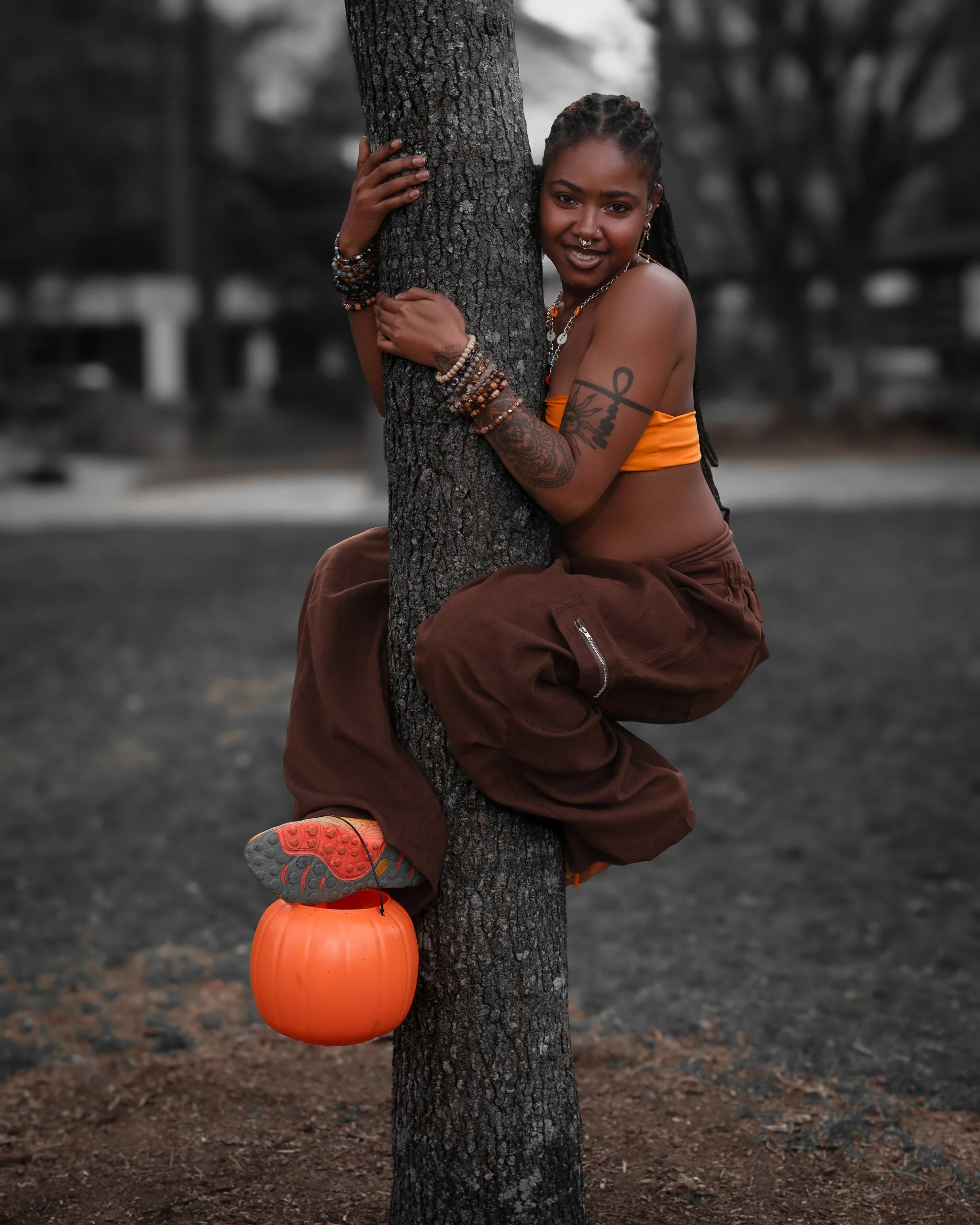 Iesai tree 1.jpg