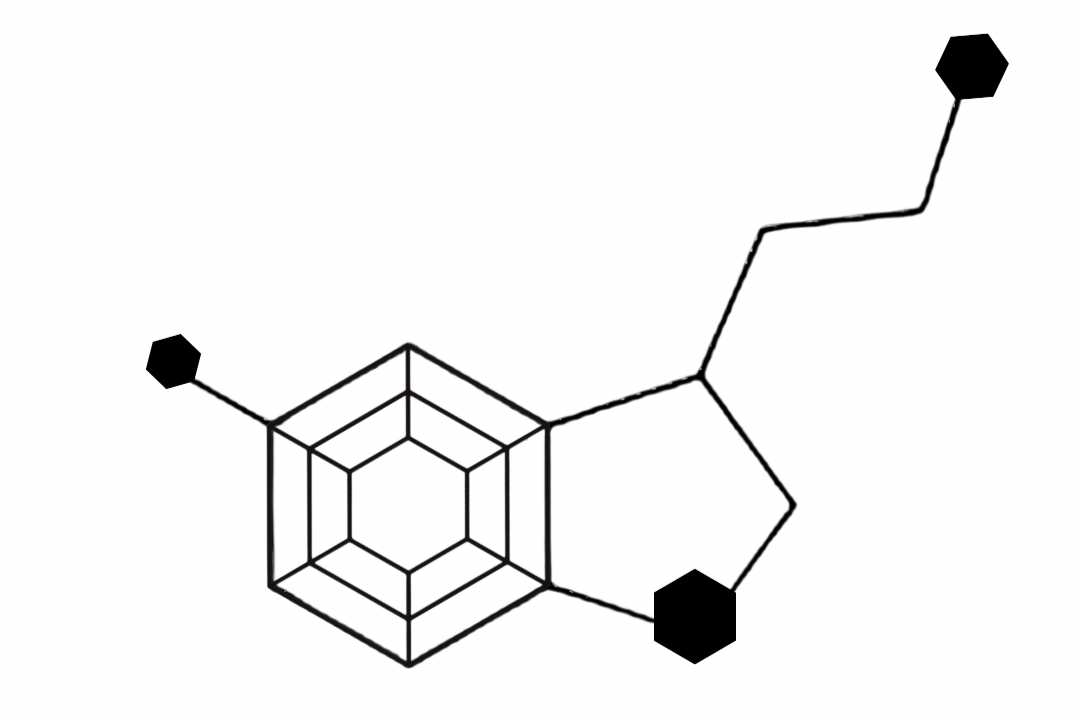 buzzbijoux