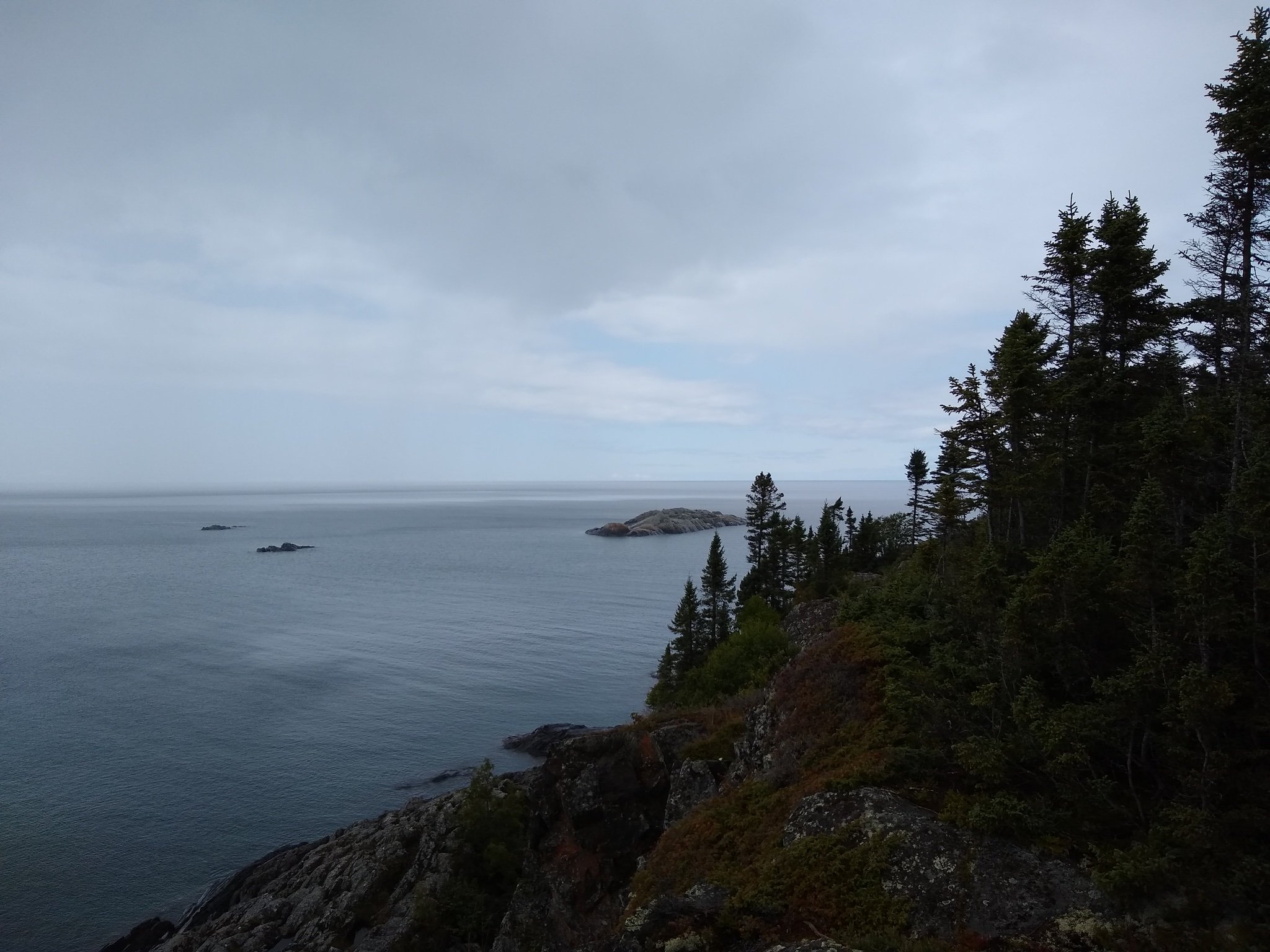 9BC025F5-6A75-44C4-A58F-F0626313F7E5_1_102_o.jpeg