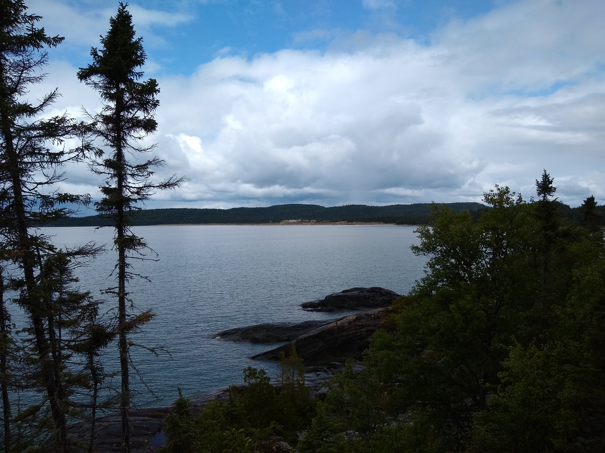 B241B39C-9DB0-45DA-9A77-F776BFCC0872_1_102_o.jpeg
