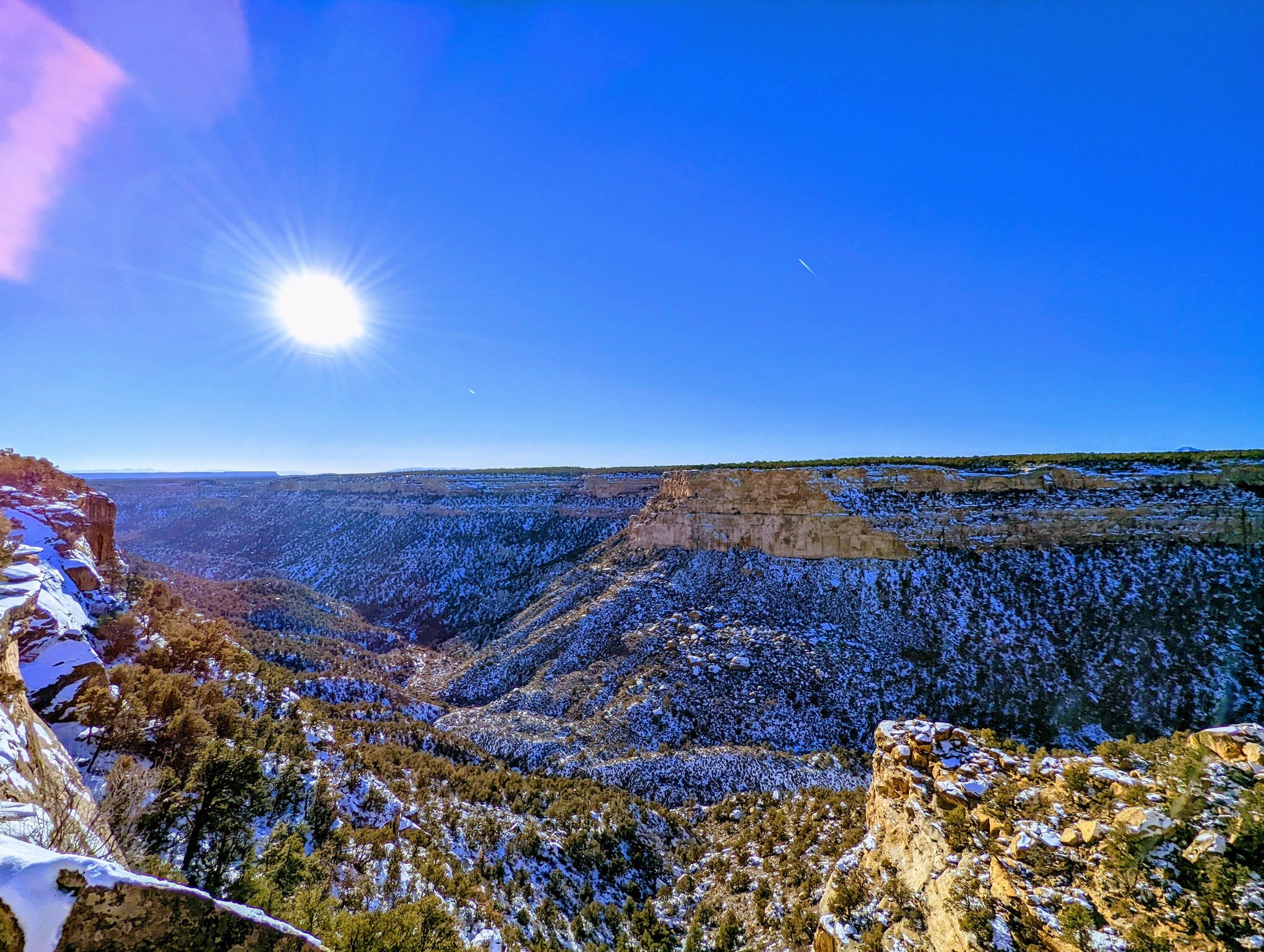 C086FB6E-141C-4BC1-BA63-0D186B7C4612_1_102_o.jpeg
