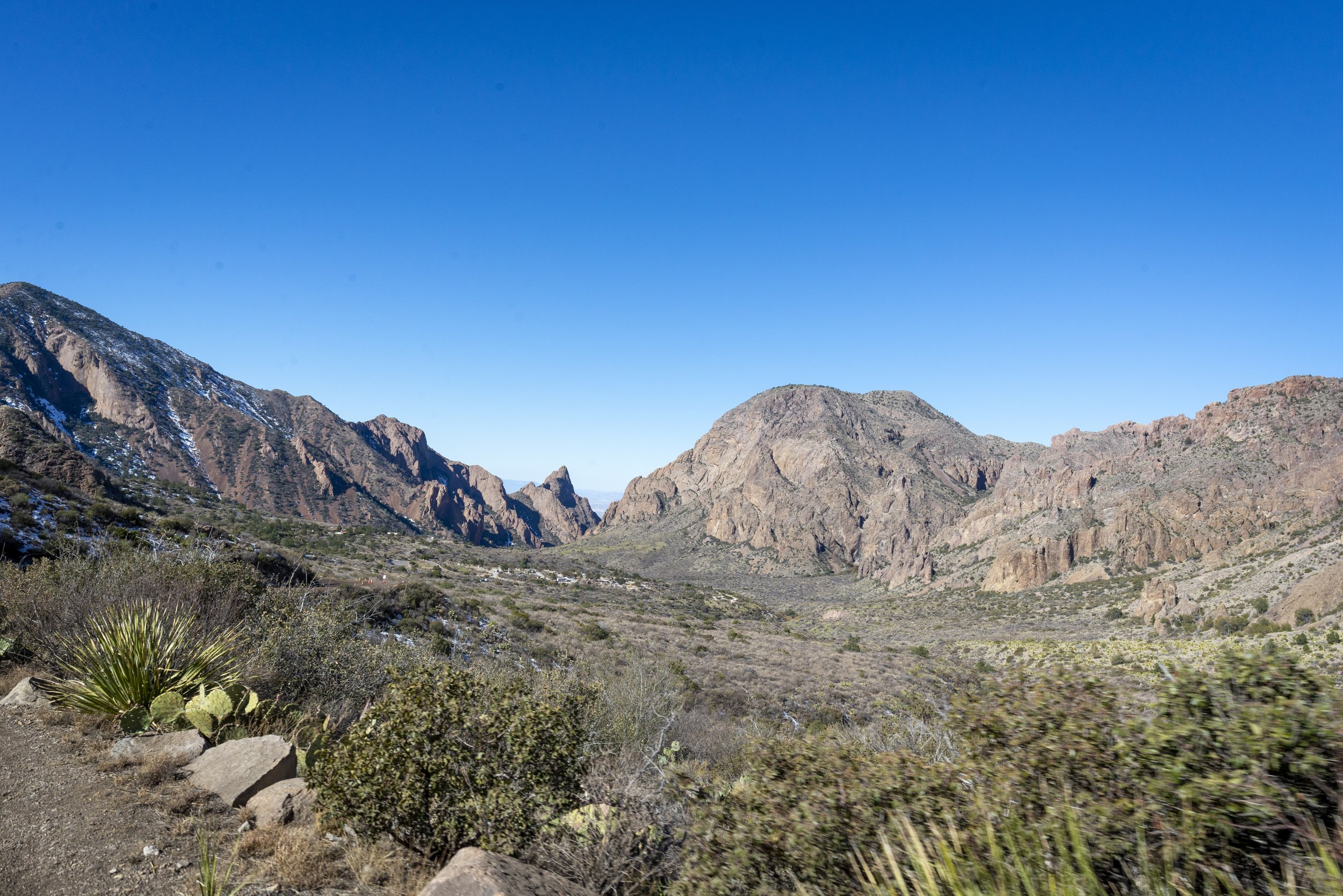 DSC_7703.jpg