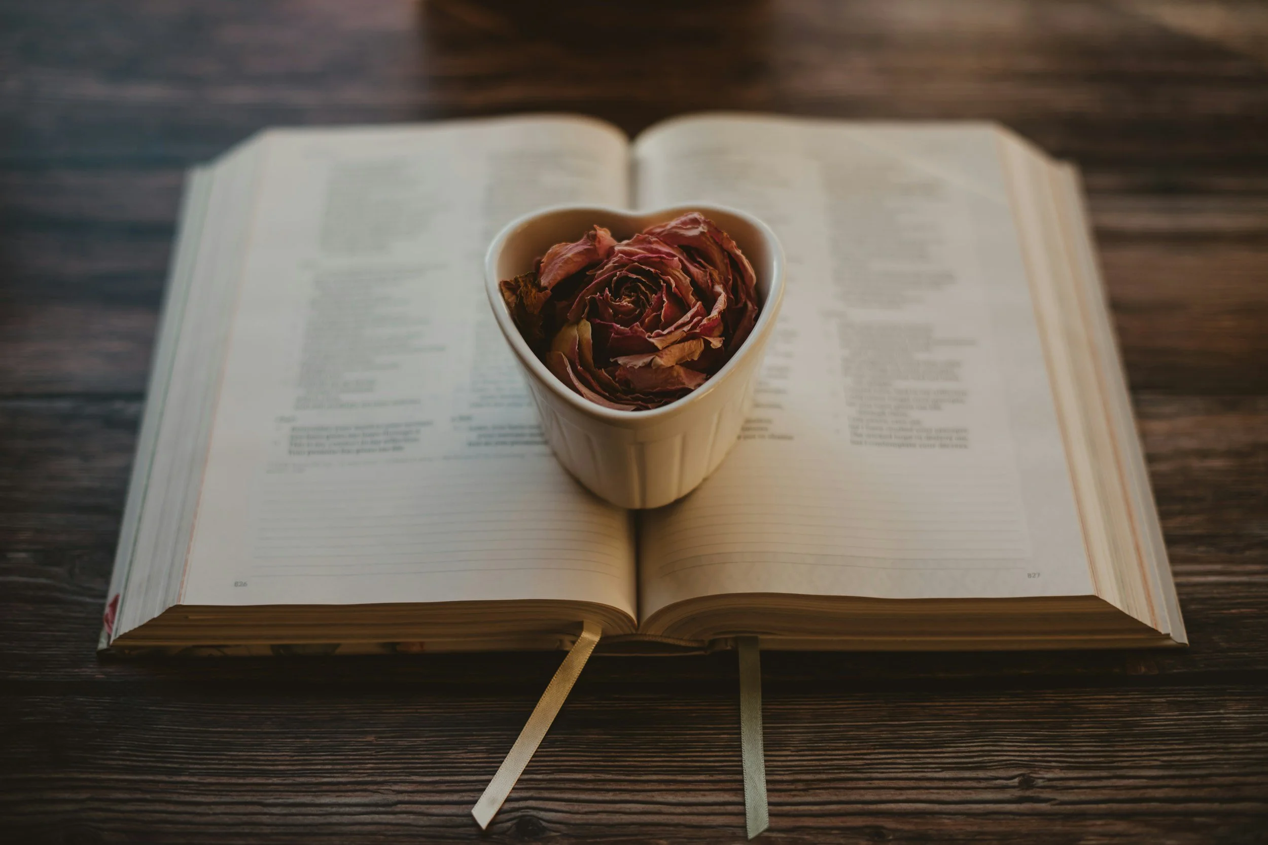 First February Reads