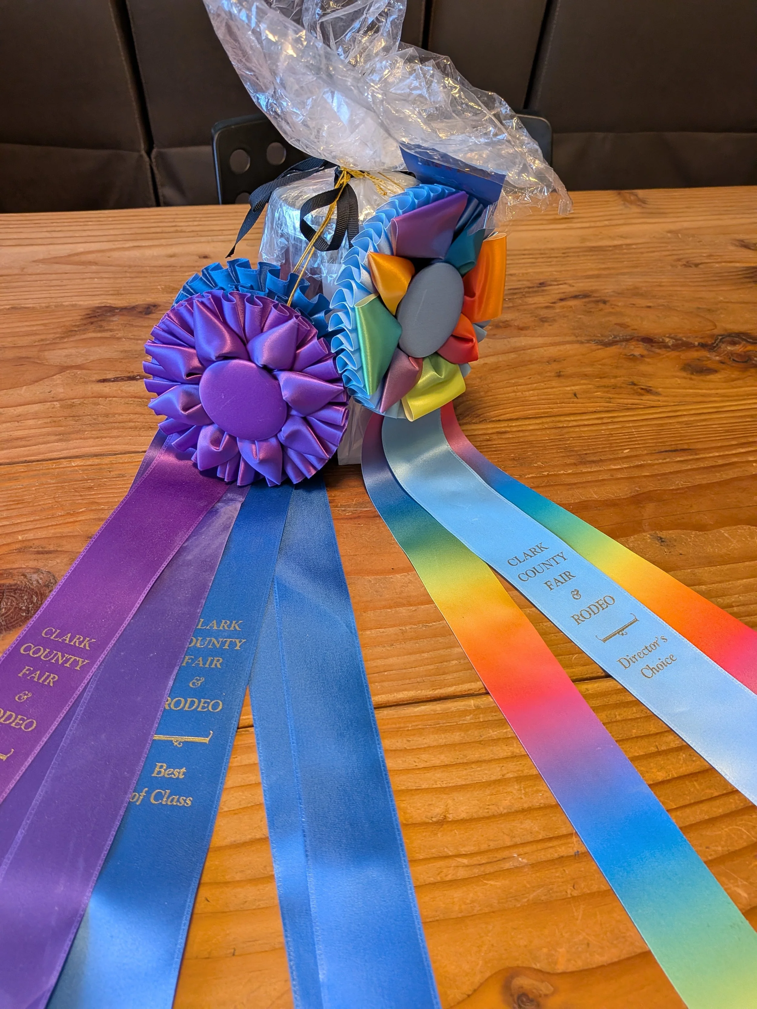 Fair Winner Part 2