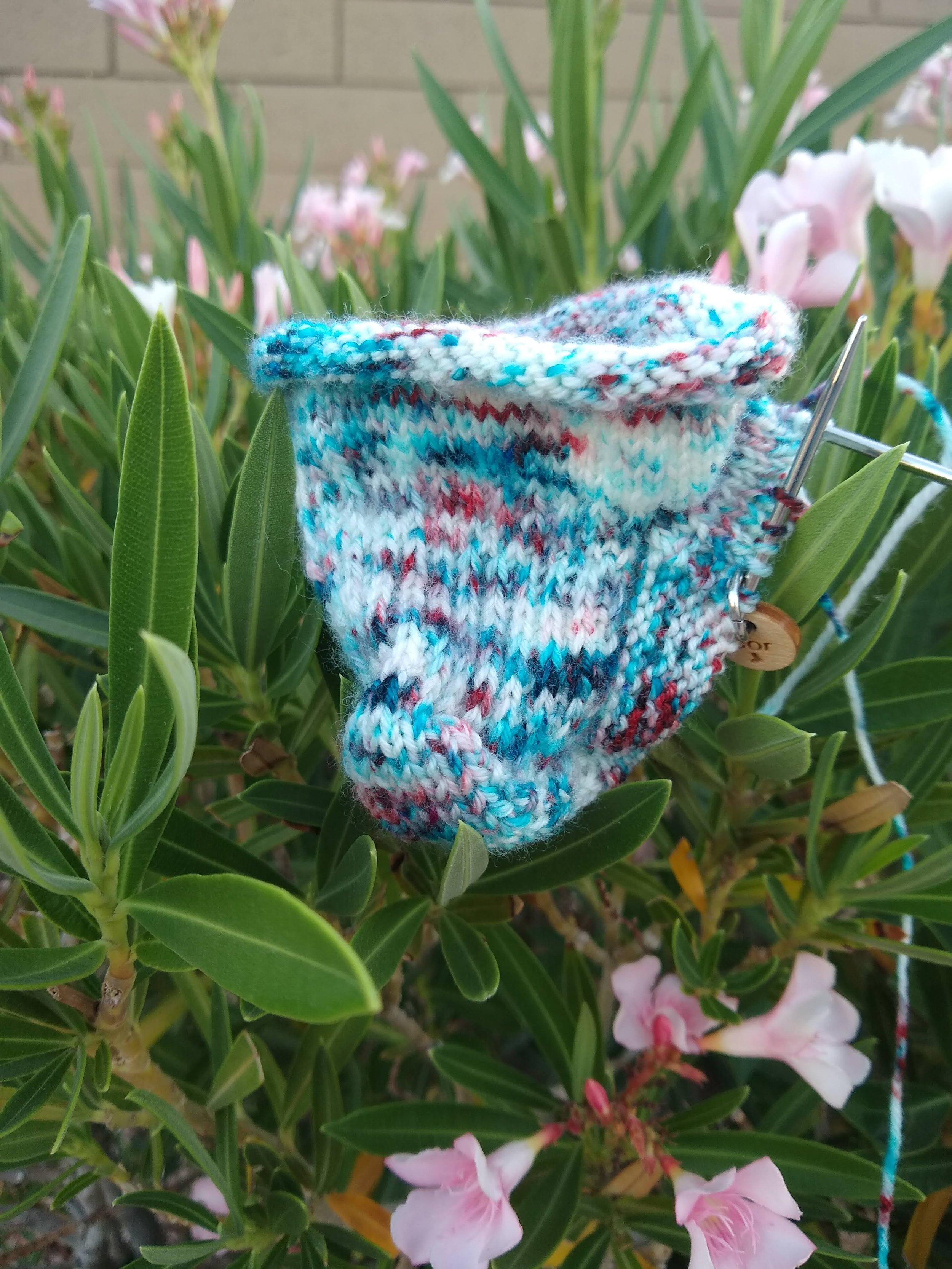 End of May Wednesday Roundup