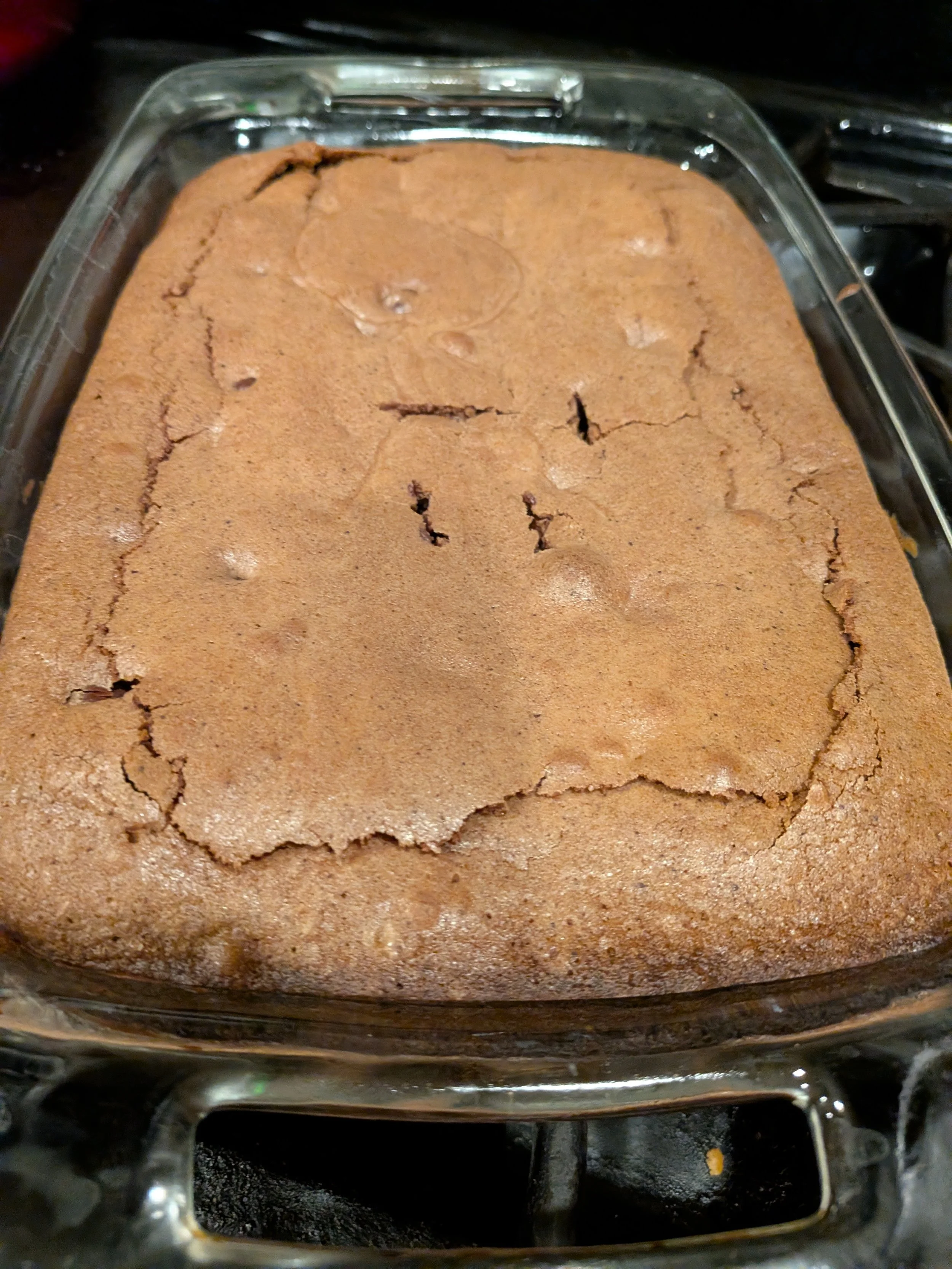Sourdough Brownies