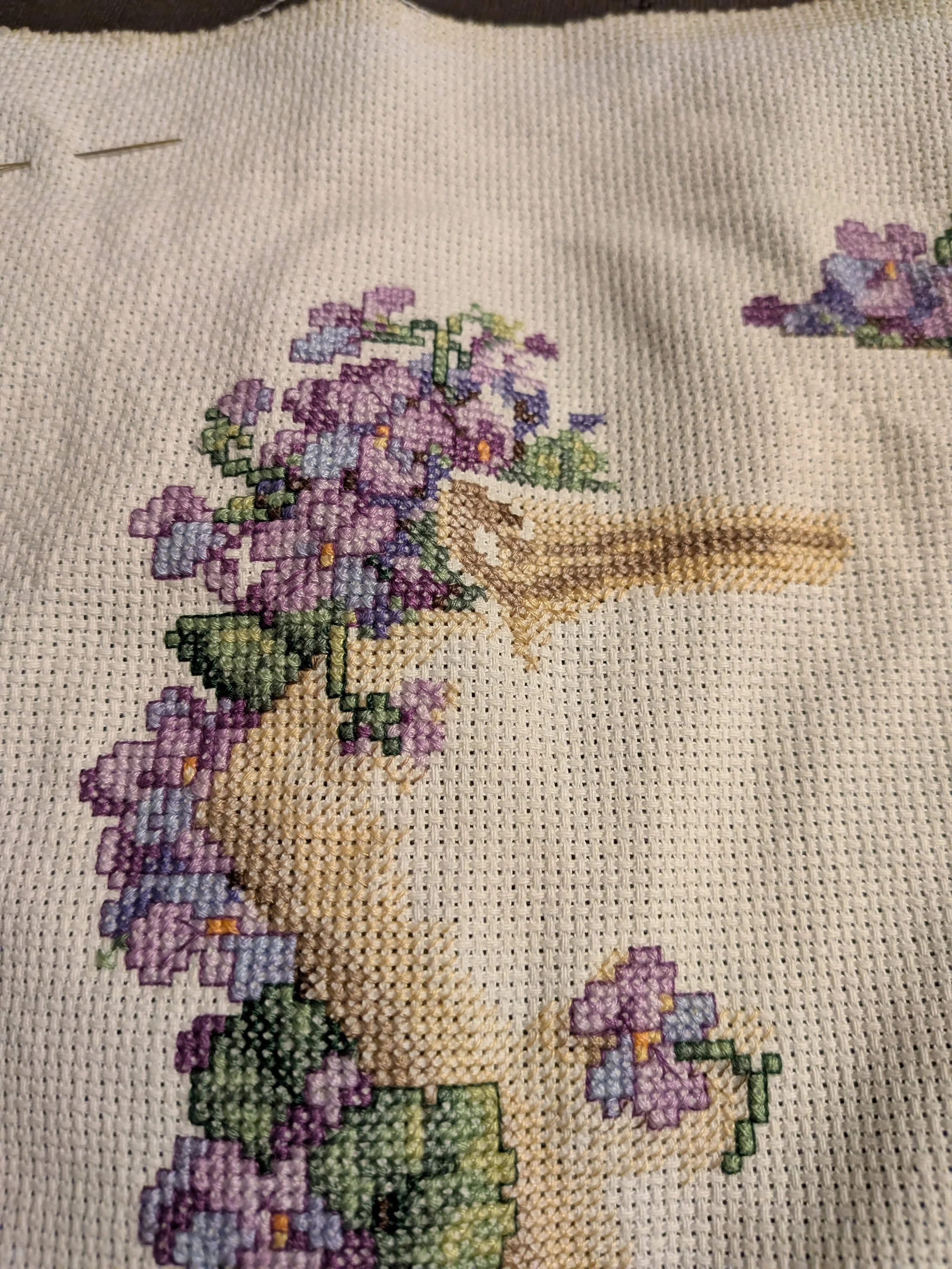 Monthly Update on TNT