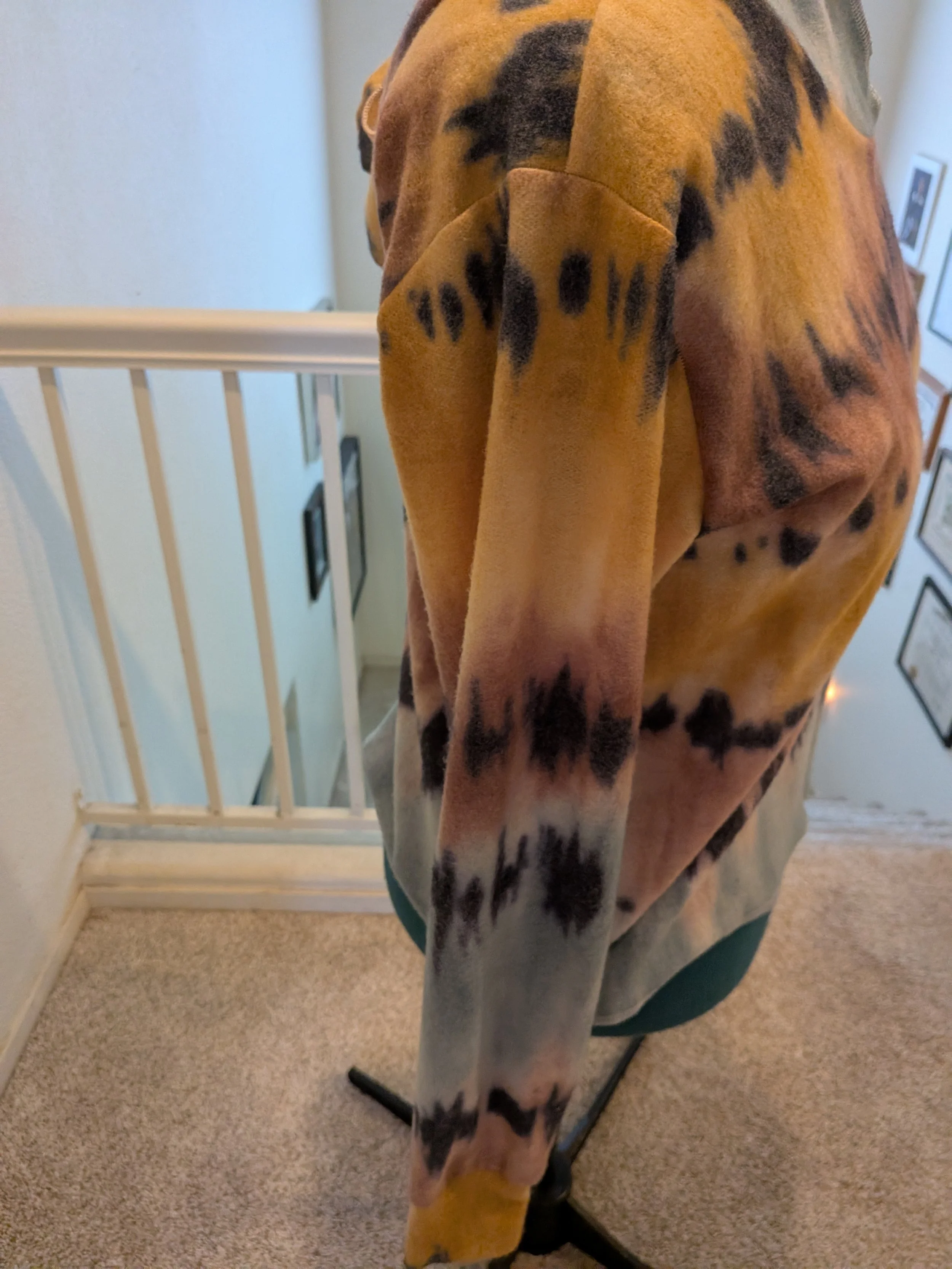 A Finish and A Start