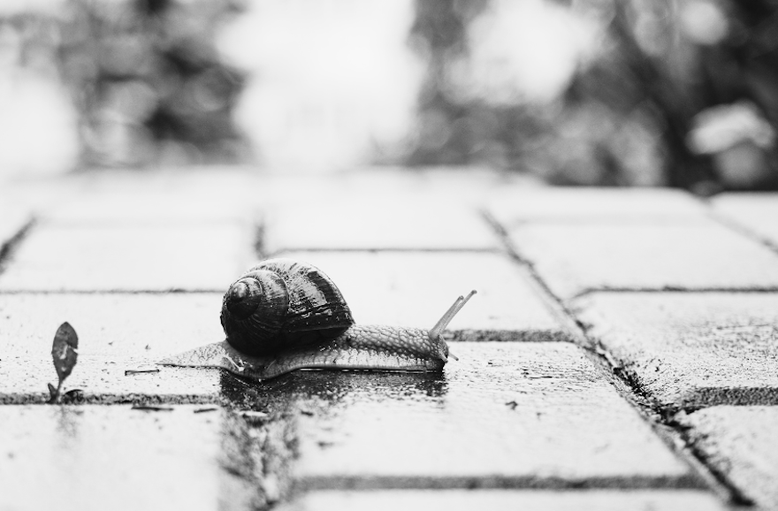 The weight of it all: unlearning hustle