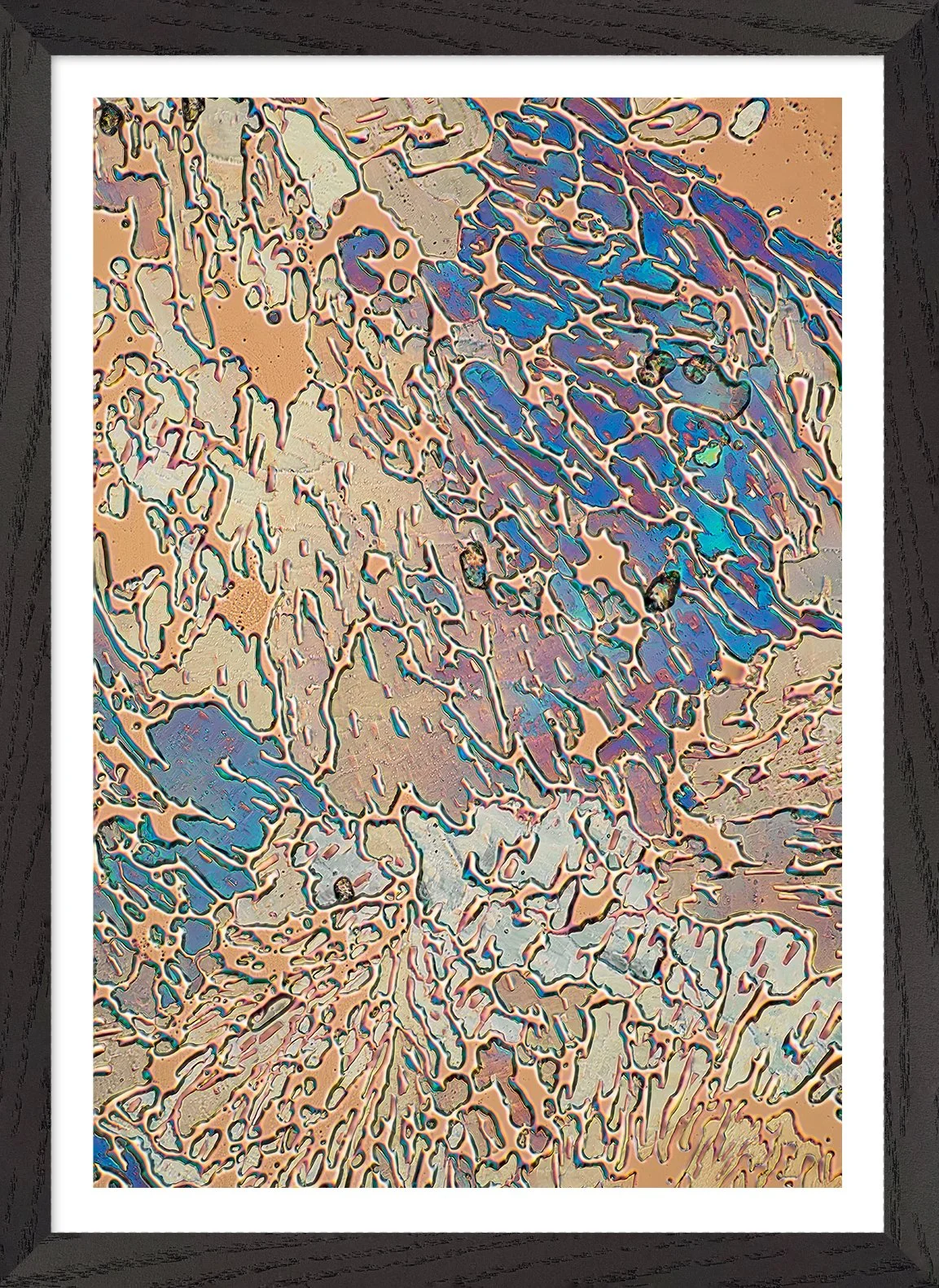 Asp-gold_Black-frame_White-border_Prod-img.jpg