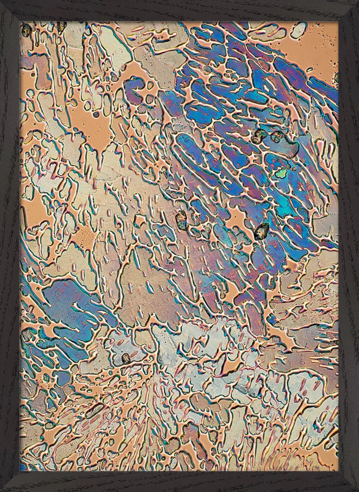 Asp-gold_Black-frame_Prod-img.jpg