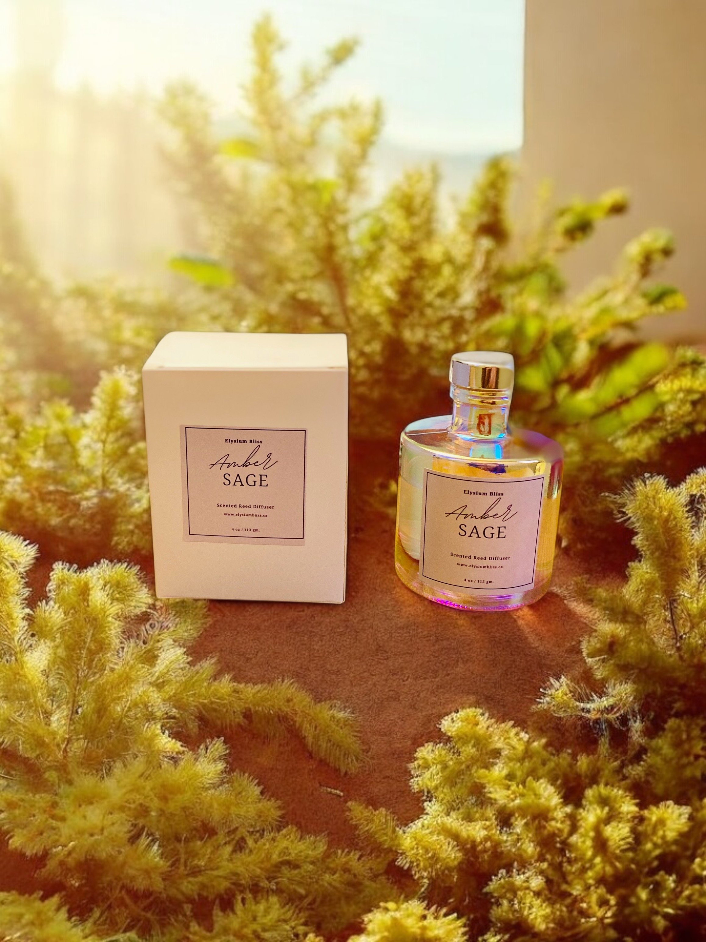 Amber Sage Reed Diffuser (4 oz.)