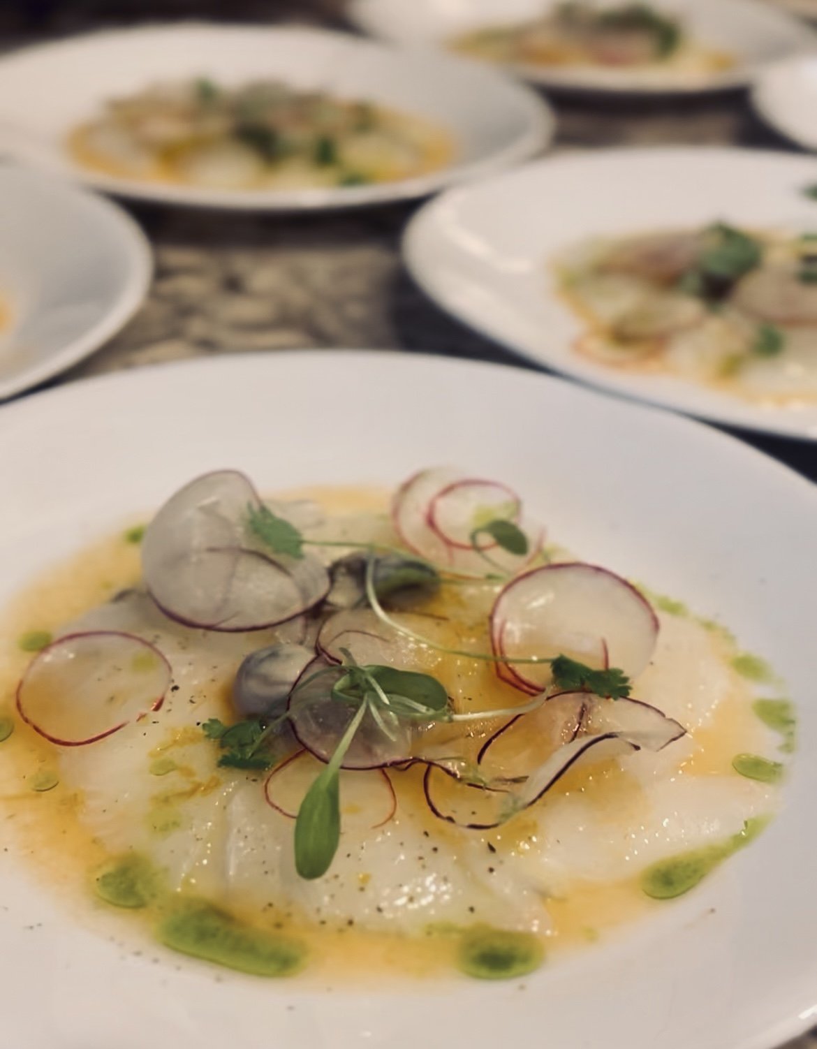 A close-up of a plated dish with raw scallops, radish slices, microgreens, and a light sauce with chive oil droplets.