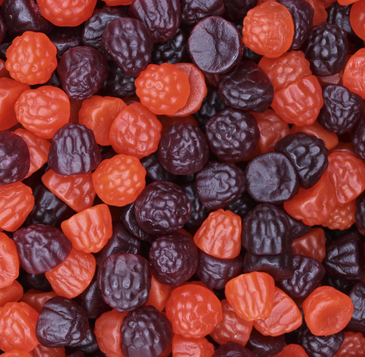 Forest-Berries.png