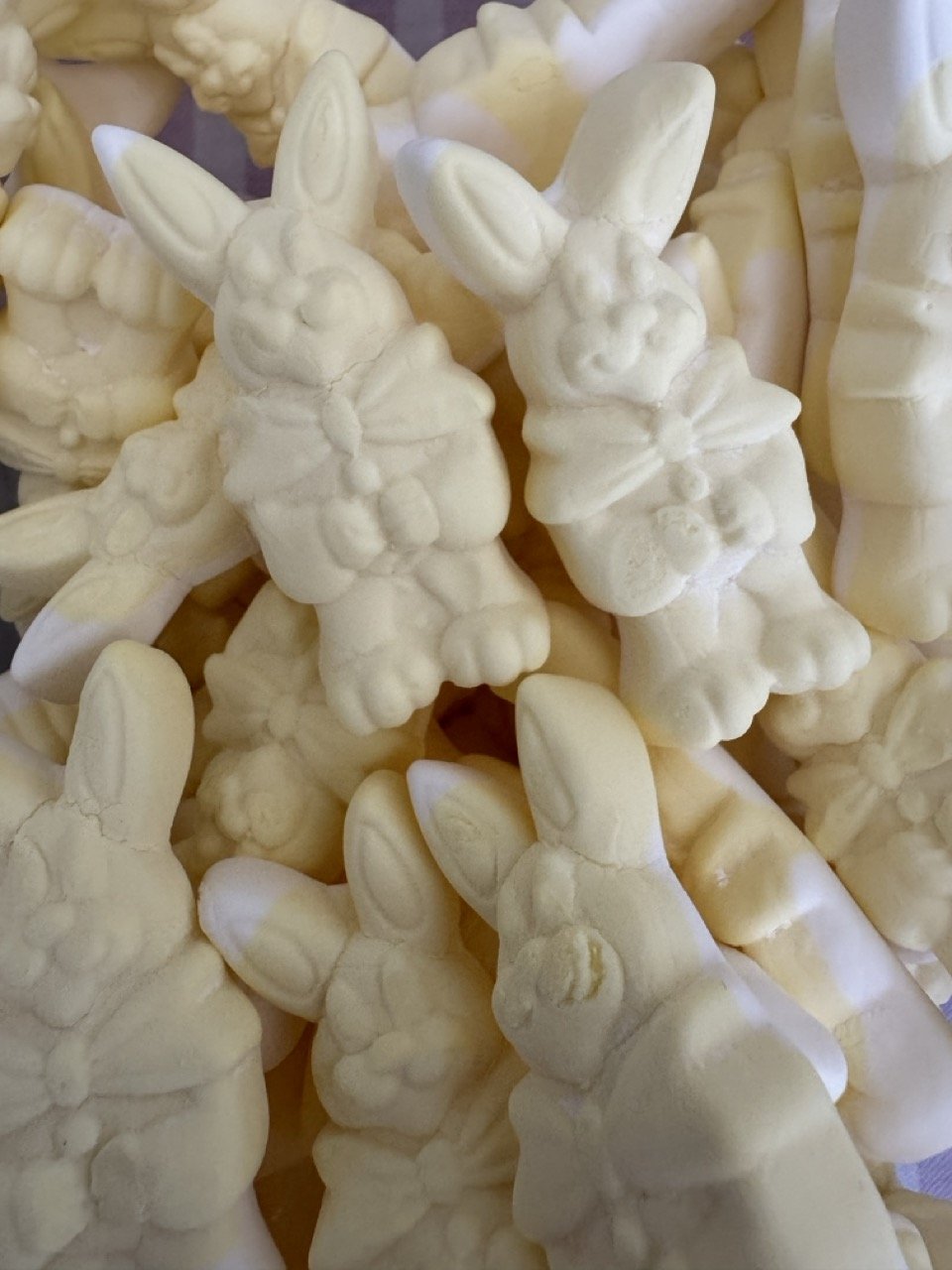 Foamy Bunny