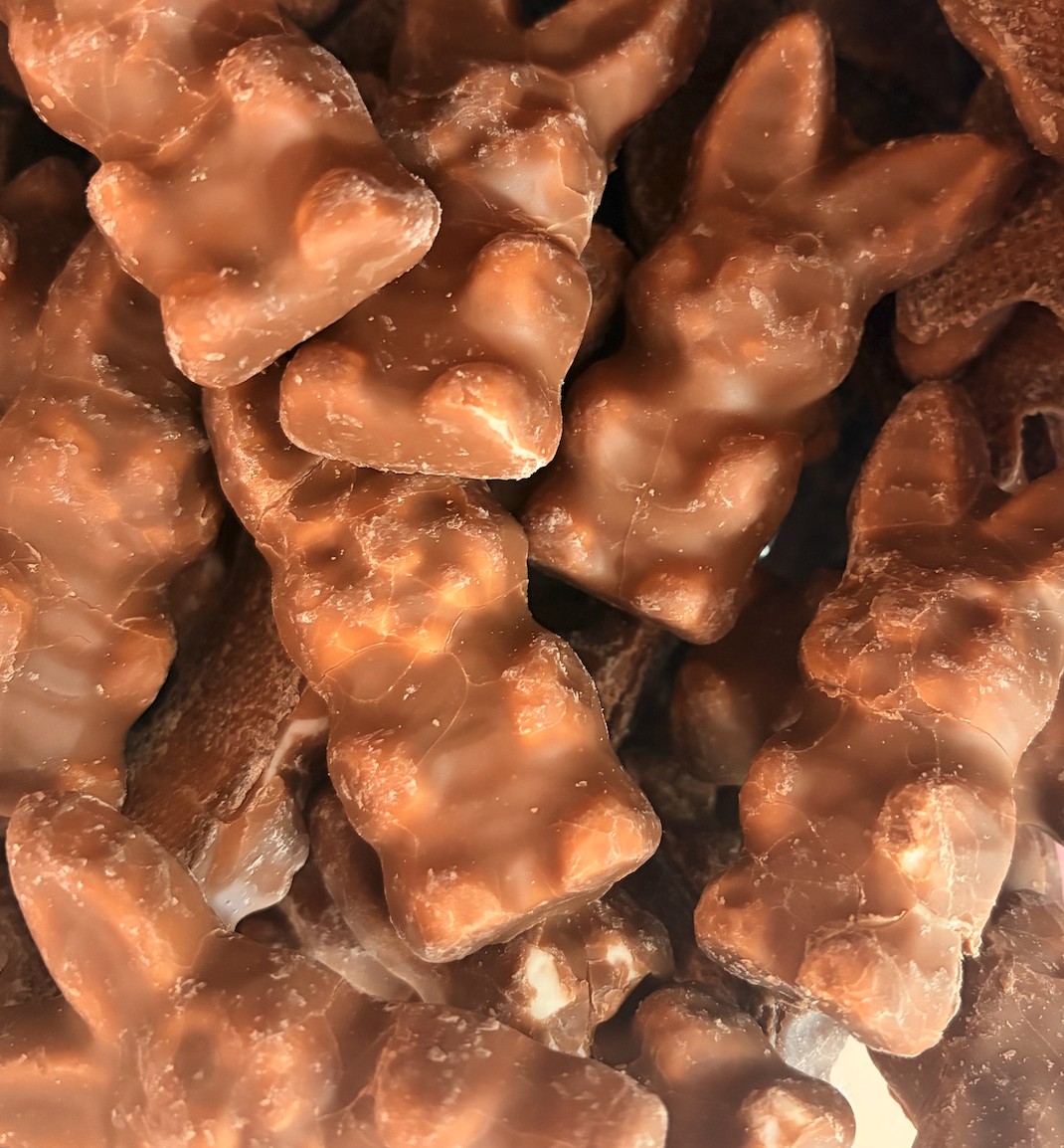 Chocolate Bunnies