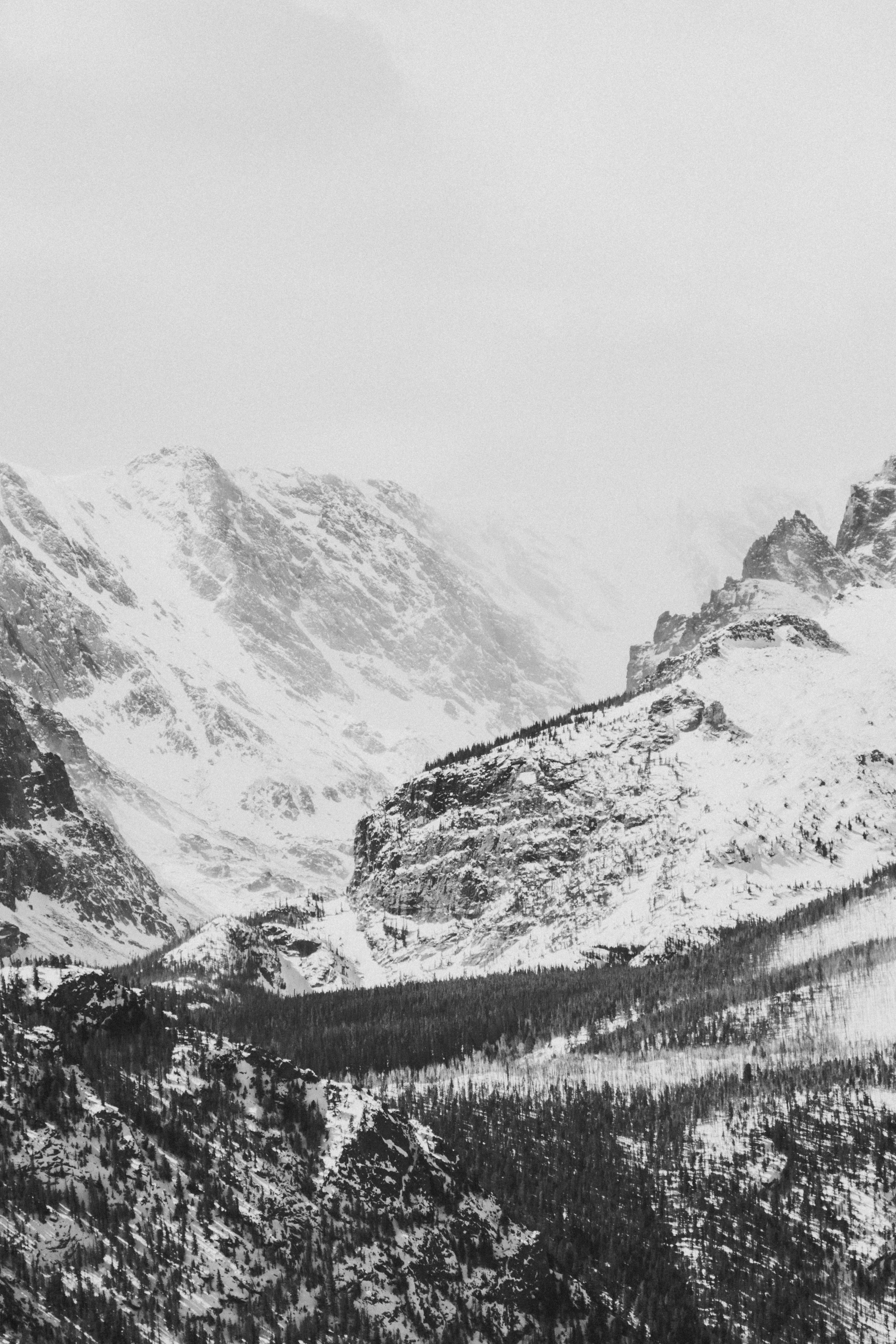 Blizzard