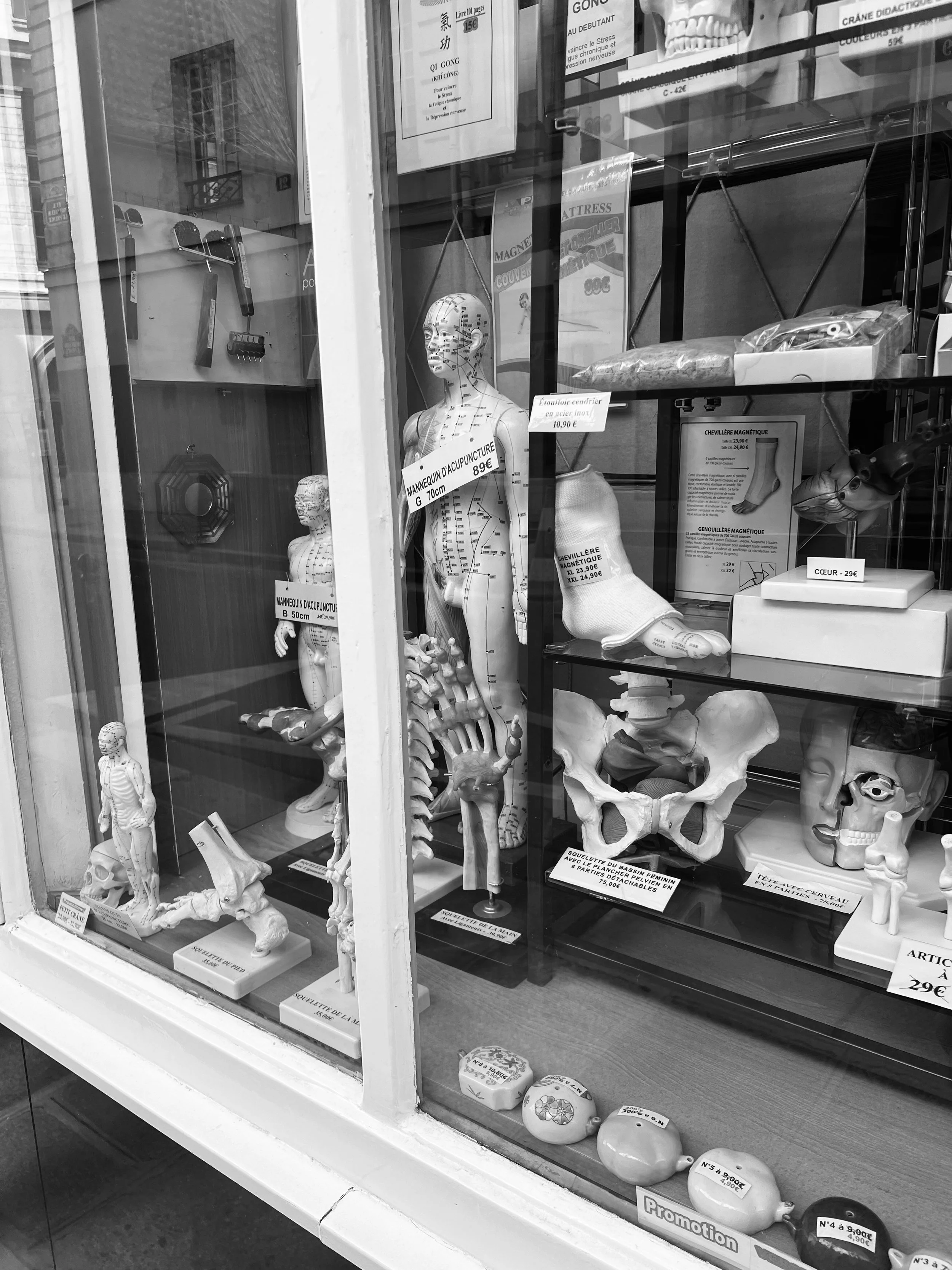 Display window with anatomical models and health-related products, including human skeletons, a pelvic bone, and facial masks, labeled with prices.