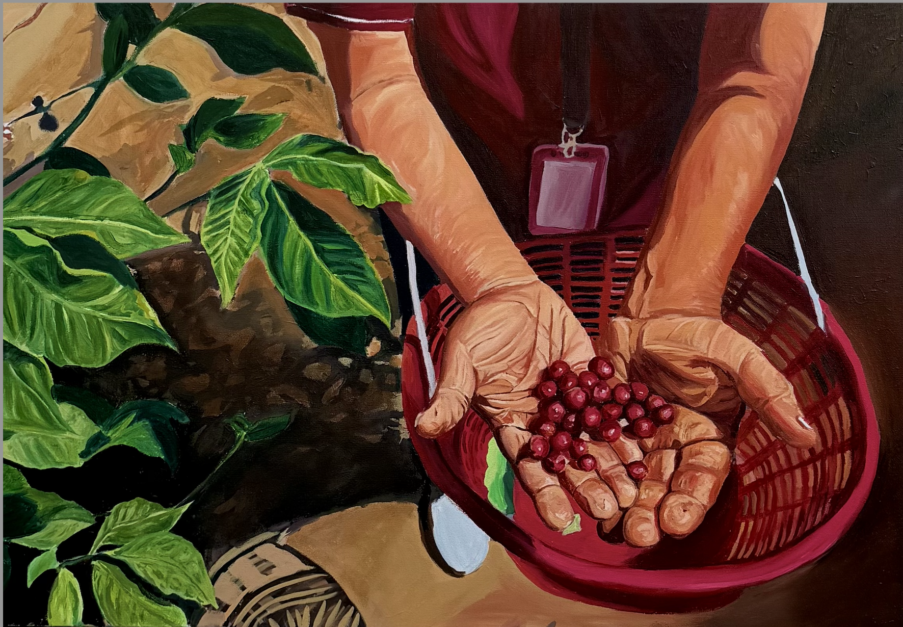 Hand holding a basket of red coffee cherries, with green coffee plant leaves nearby.