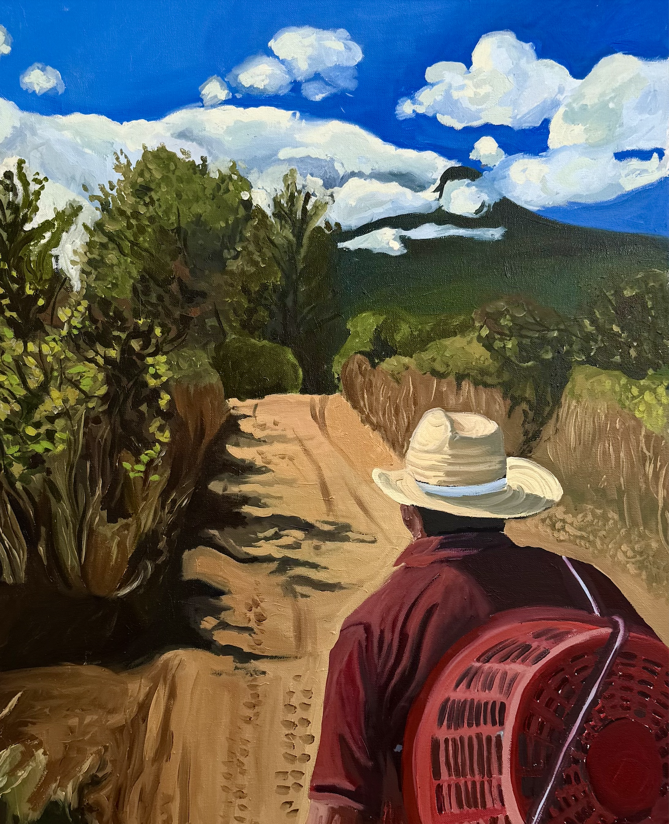 A person wearing a large straw hat and a red jacket sitting on a red chair, looking at a dirt path lined with greenery, under a blue sky with white fluffy clouds.