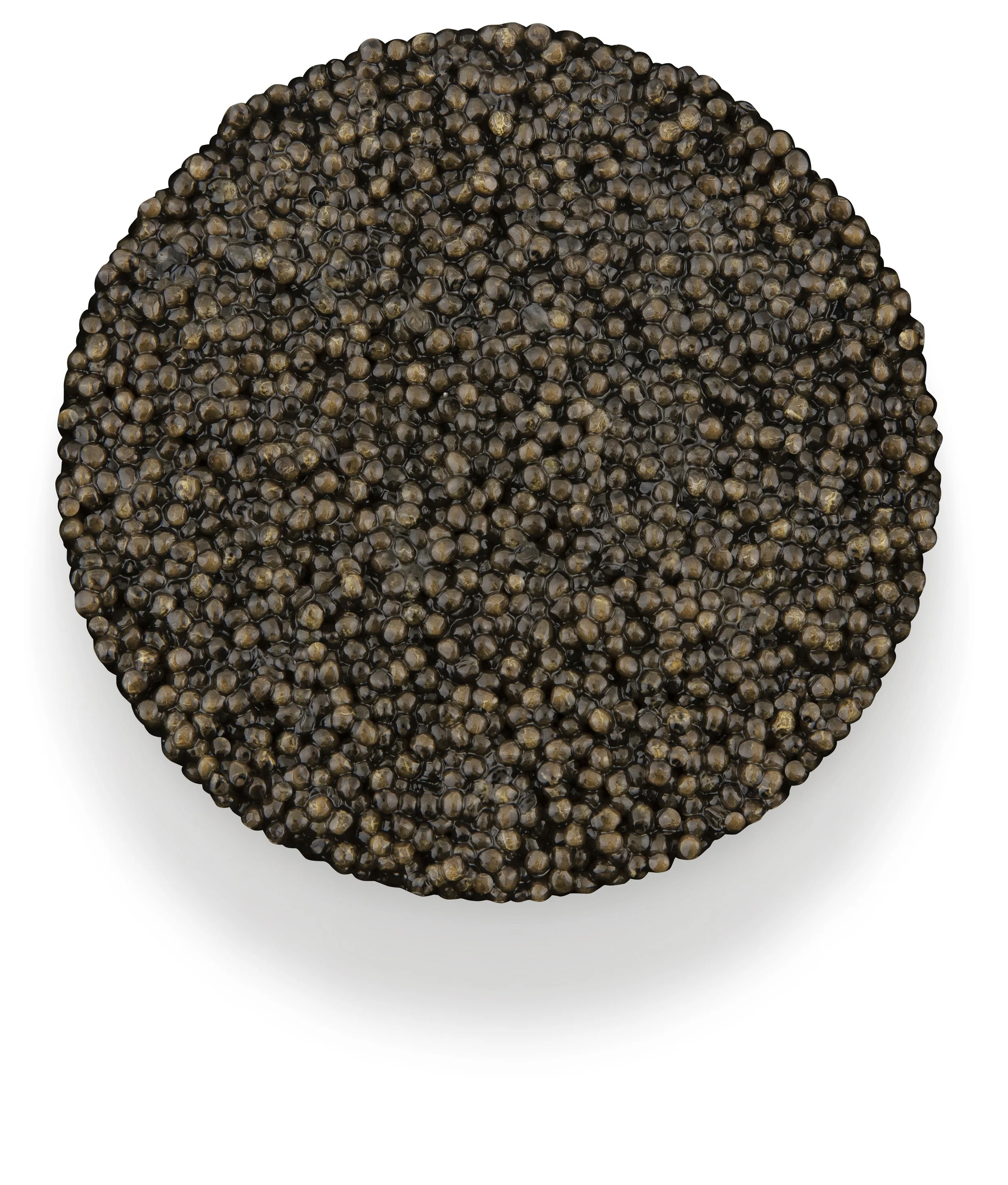 Caviar Reed Caviar d'Eden Singapore