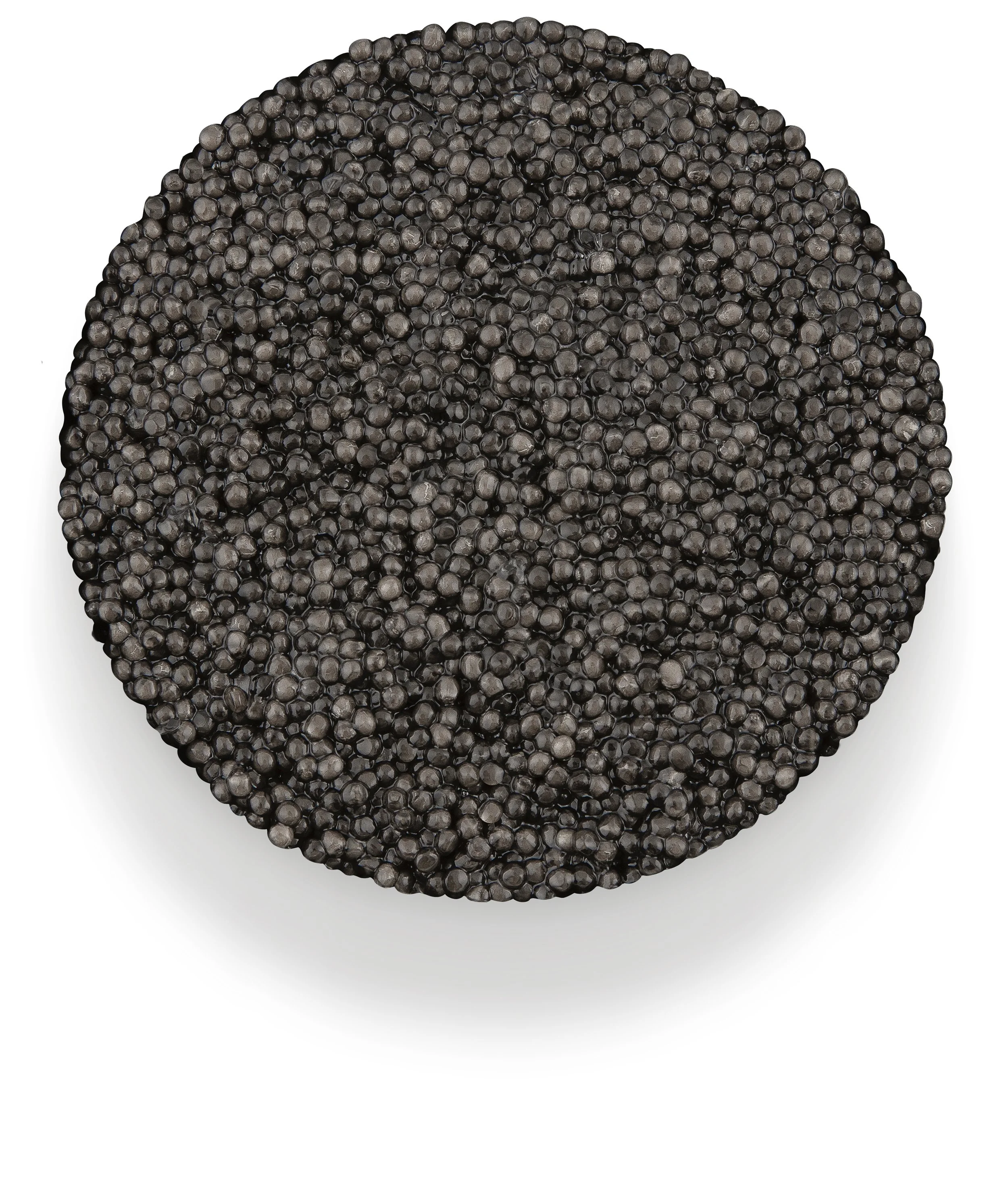 Caviar Reed Caviar d'Eden Singapore