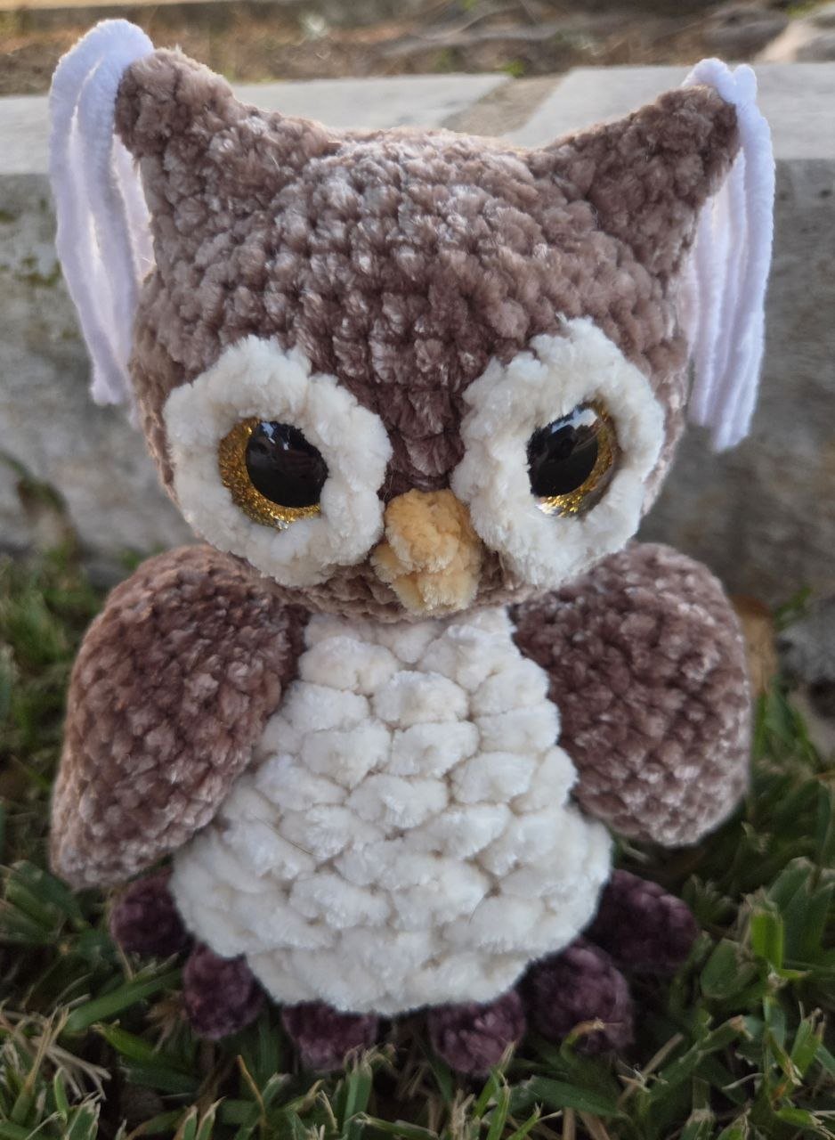 *NEW* Owls
