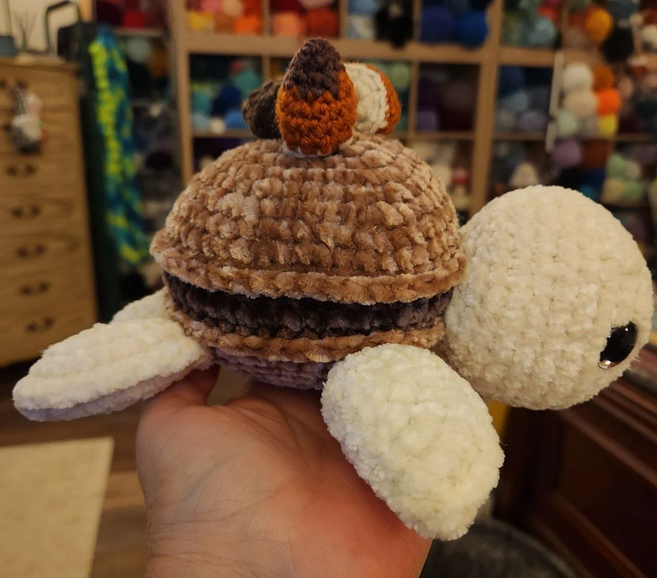Mocha Hazelnut Macaron Turtle with Hazelnuts on Top