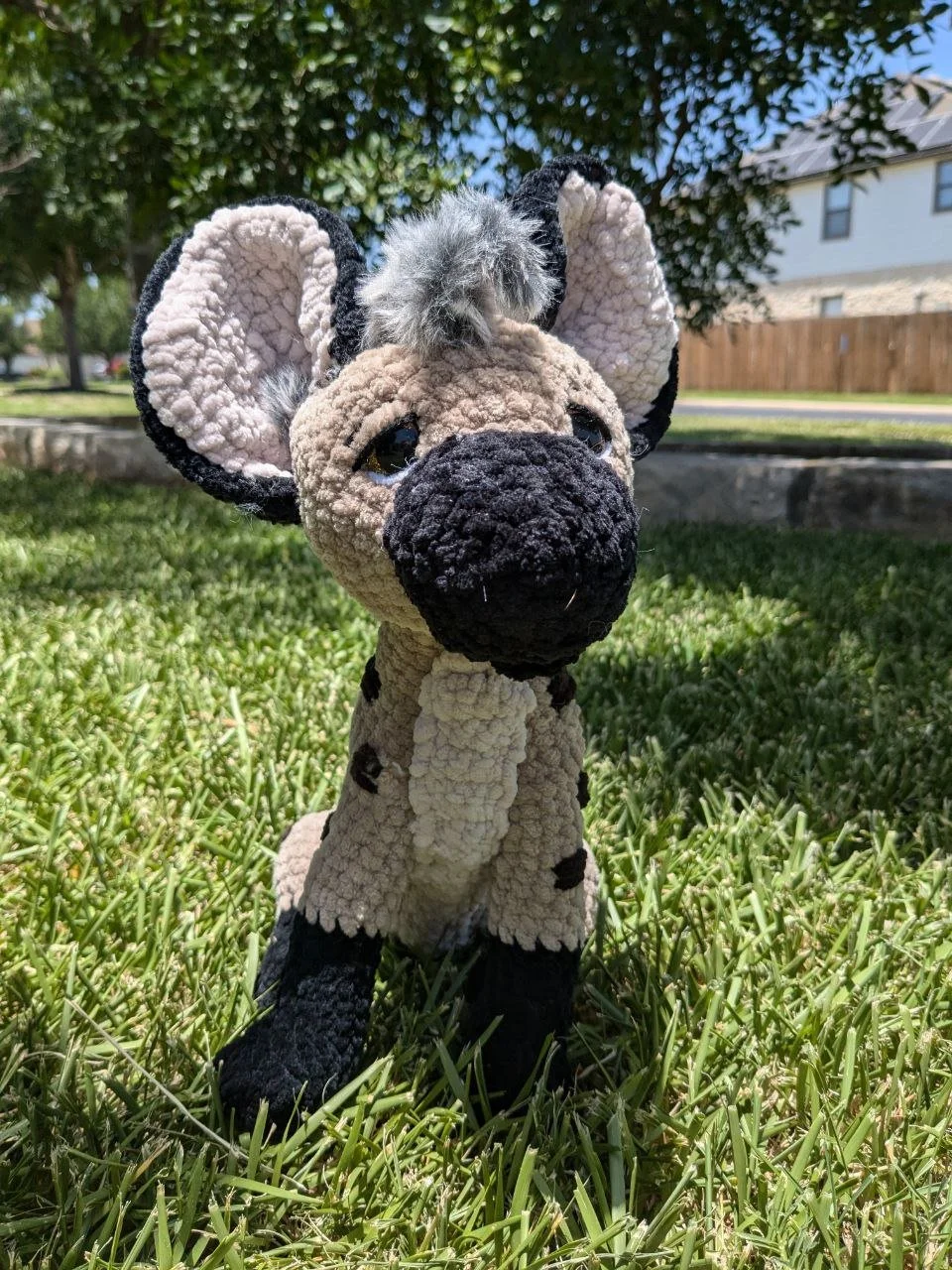 Hyena 1 07-01-2024.jpg