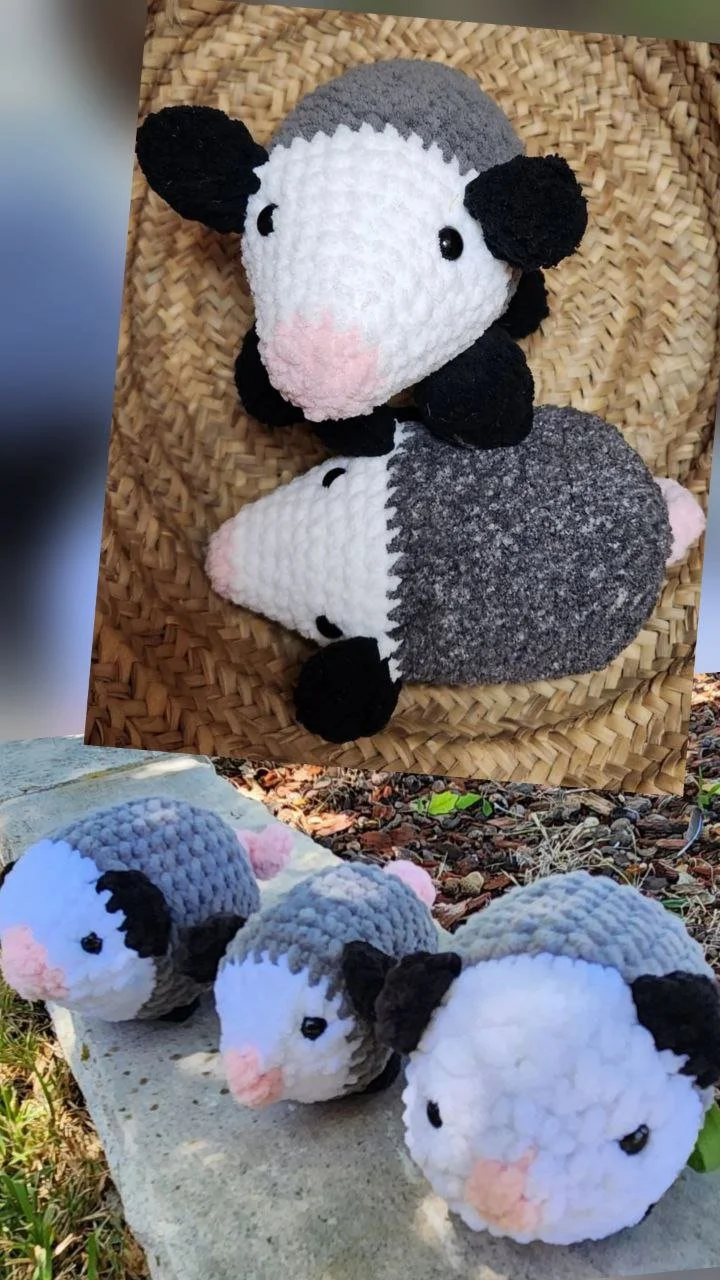 Opossums - Large and Small