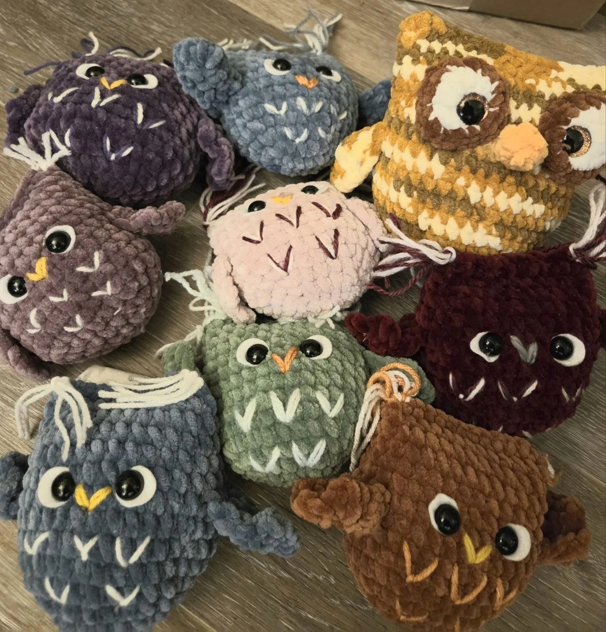 *NEW* Owls