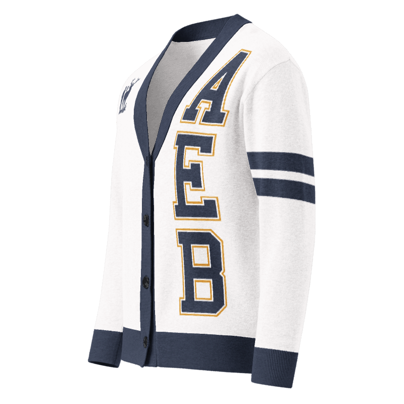 AEB Cardigan 3.png