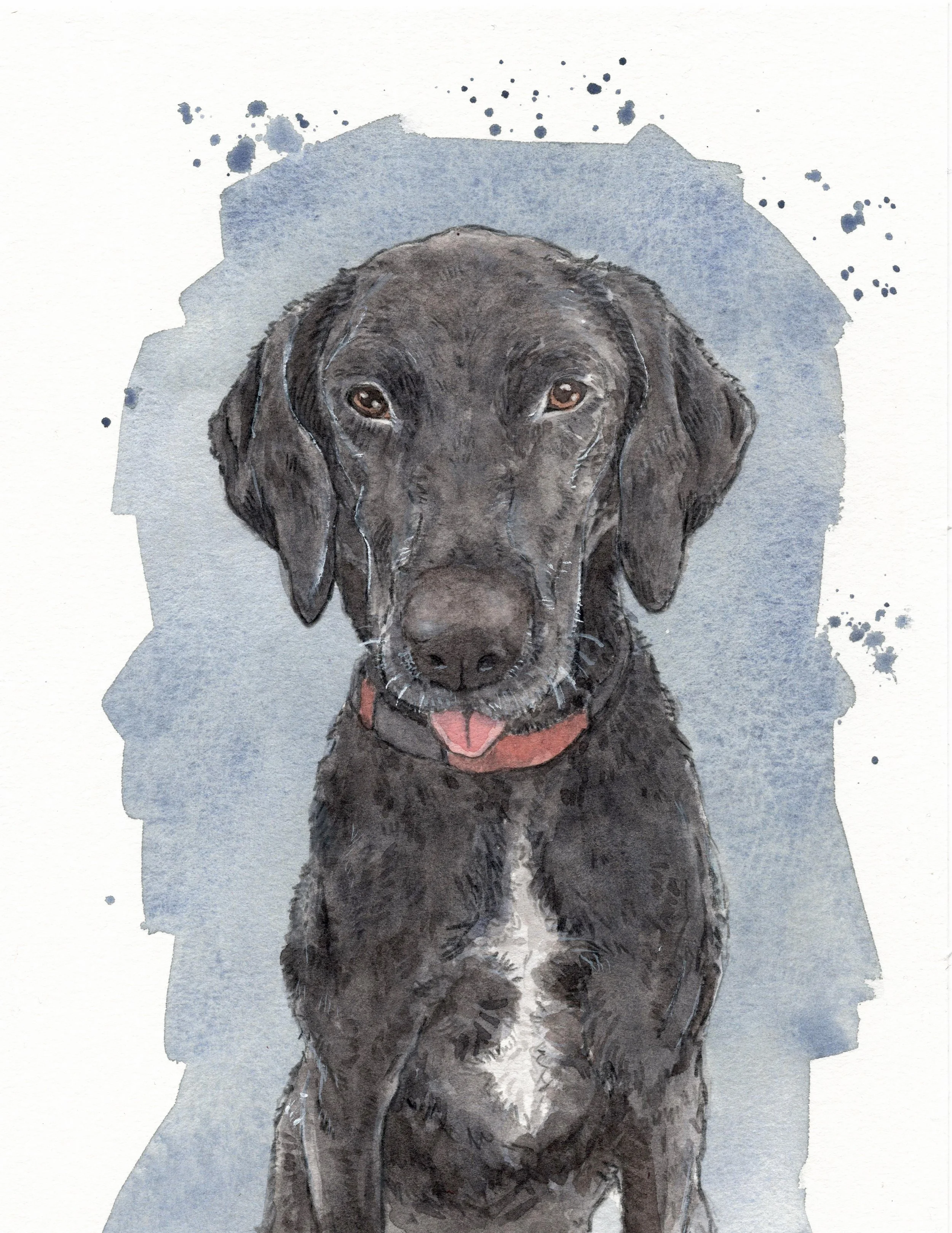 Pet Painting 018.jpg